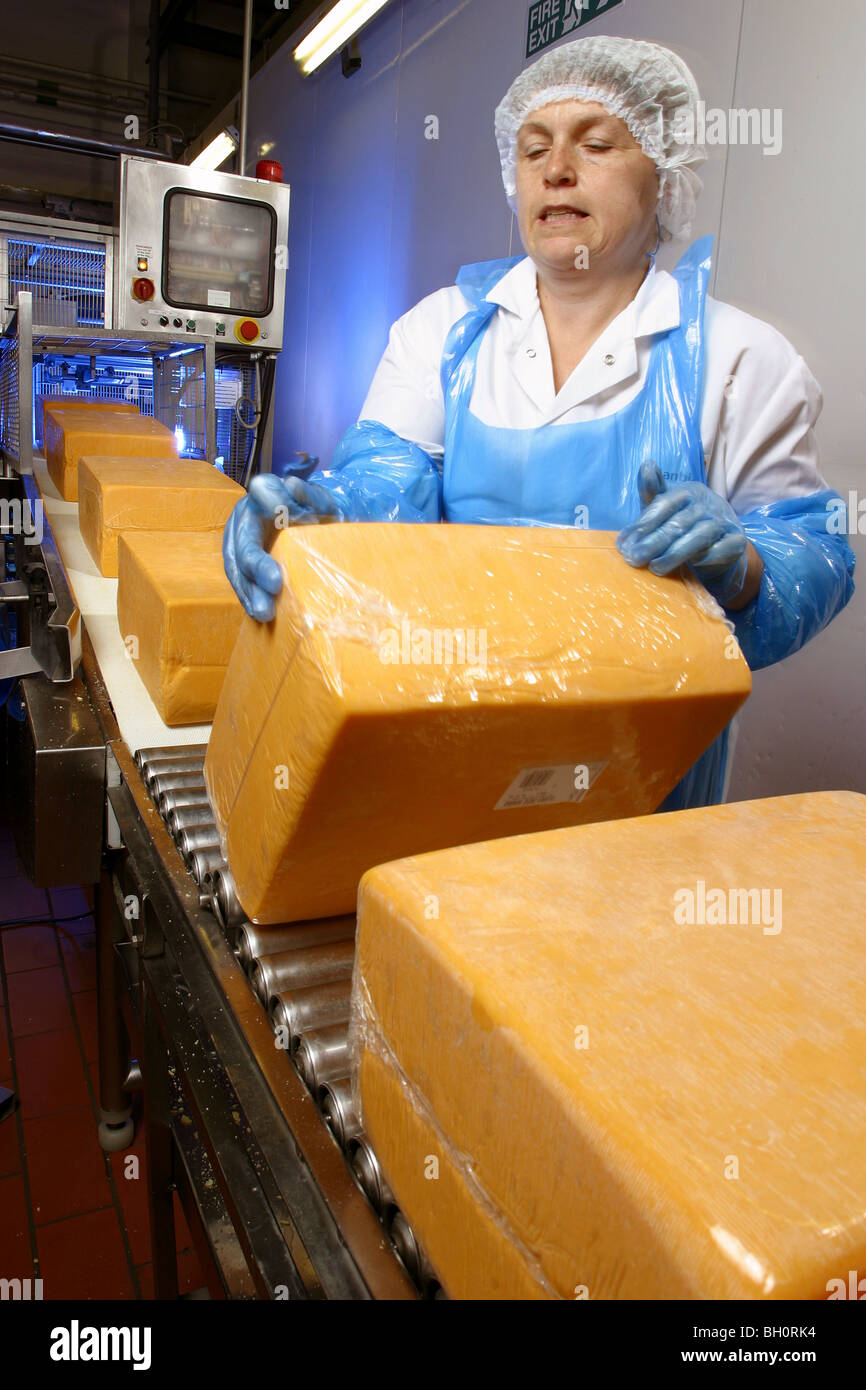 La donna lavora in una fabbrica di formaggio Foto Stock