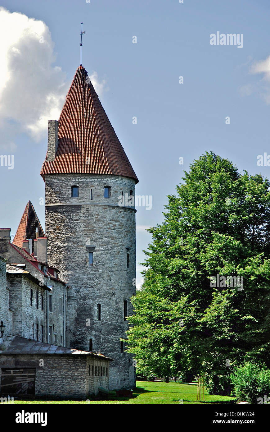 La torre dalla cinta muraria medievale, Tallinn, Estonia Foto Stock