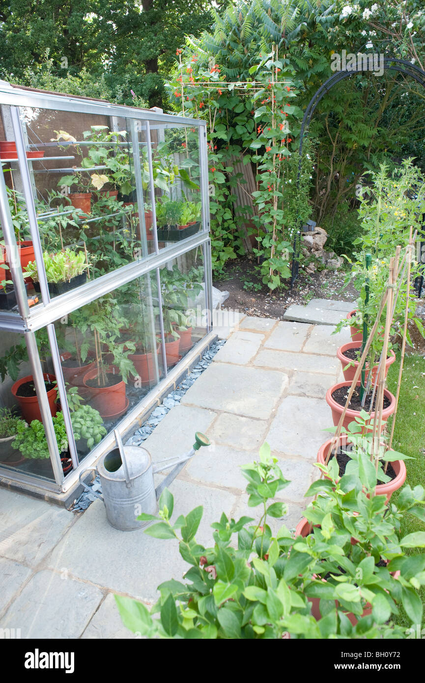 Un piccolo giardino serra piena di piante di pomodori peperoni cetrioli e lattuga con una piccola area patio che lo circonda Foto Stock