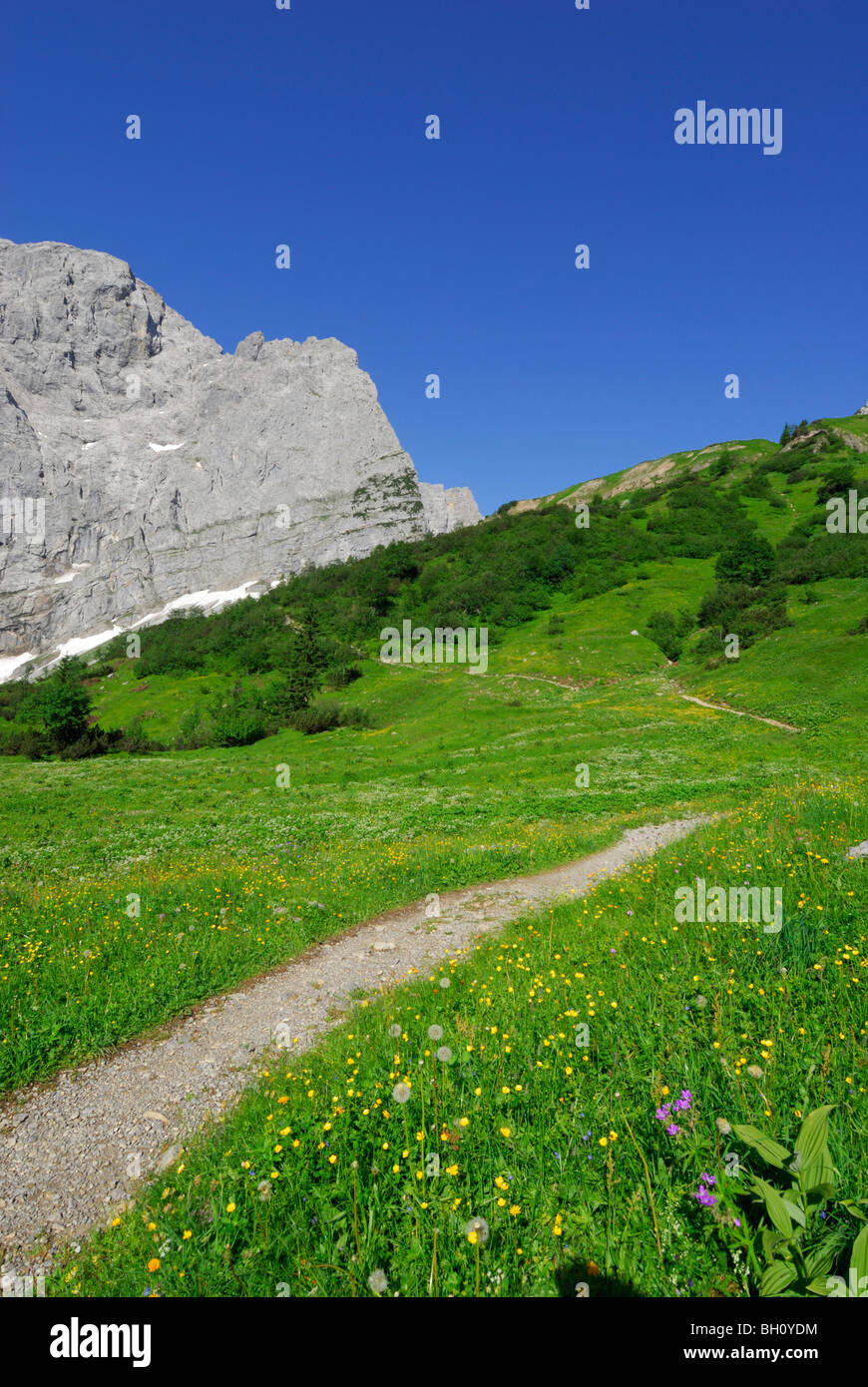 Percorso in pascolo alpino che conducono verso la gamma della montagna, Eng, Enger Alm, gamma Karwendel, Tirolo, Austria Foto Stock