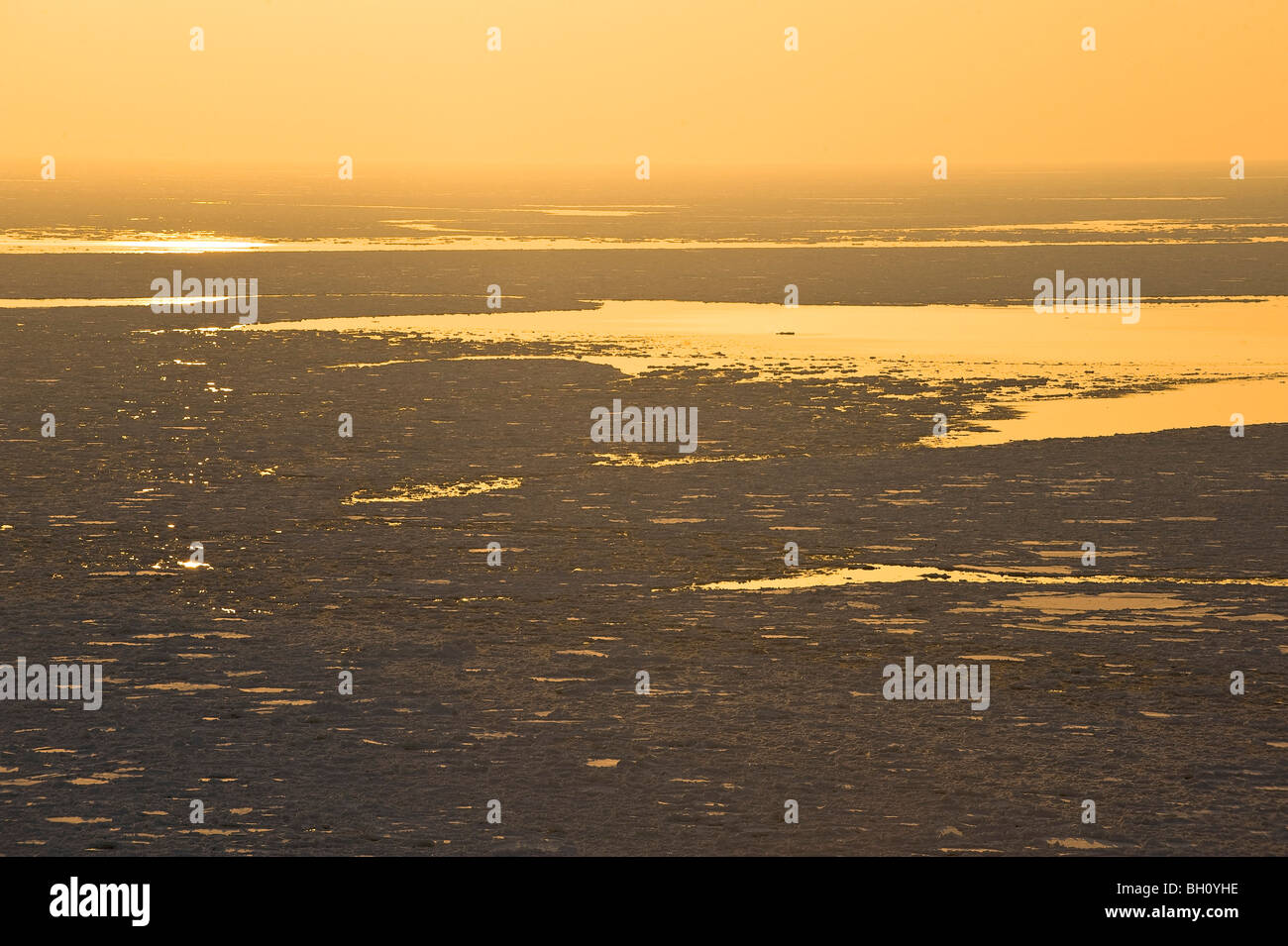 Ice floes sull'oceano pacifico al tramonto, Hokkaido, Giappone, Asia Foto Stock