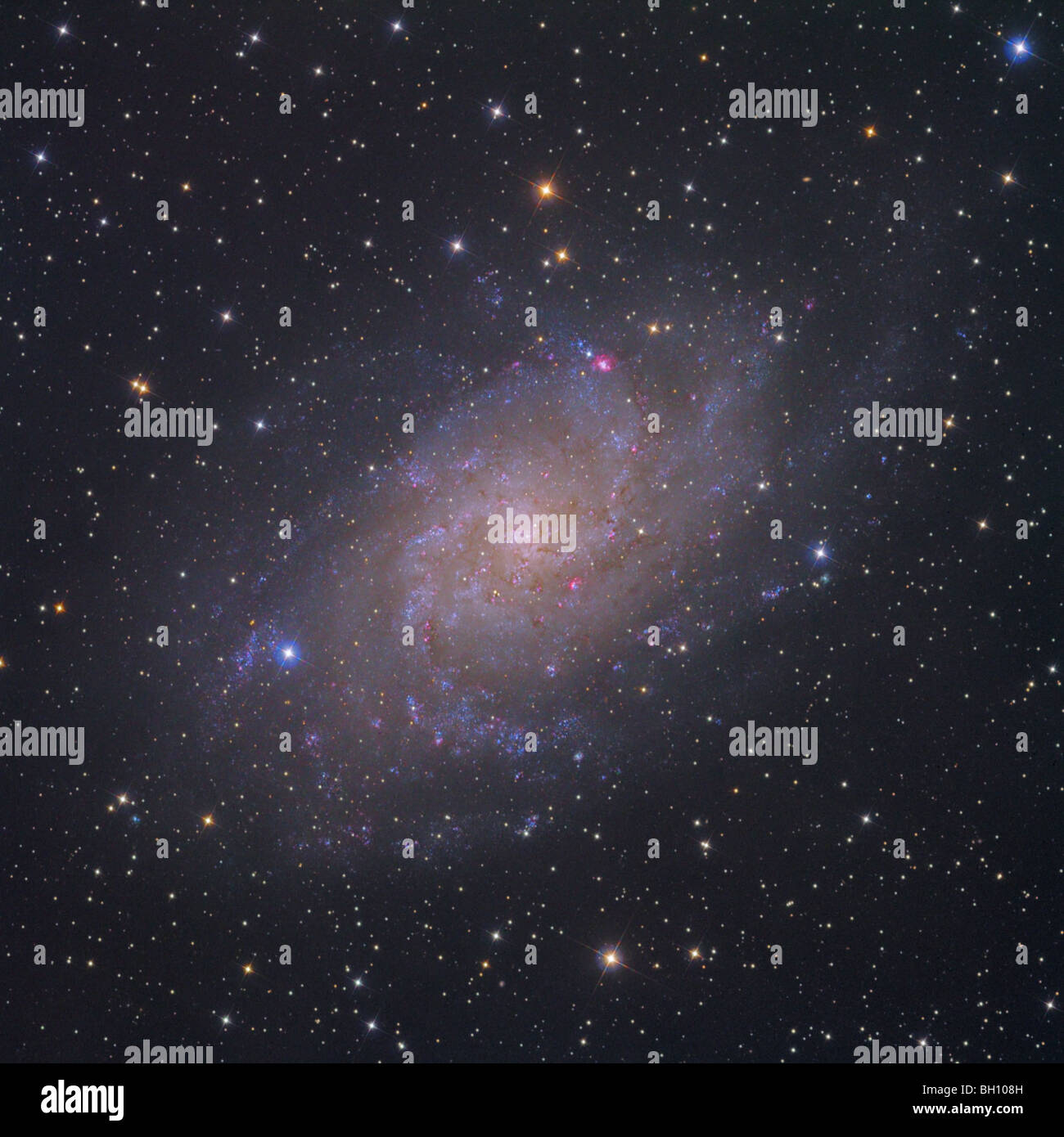 La Girandola Galaxy, M33, in Triangulum. Foto Stock