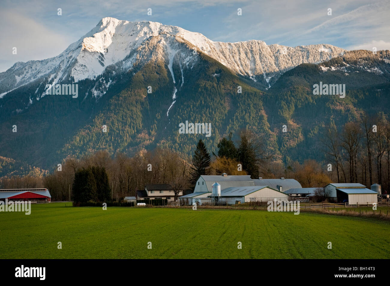 Farmland domina il paesaggio del Fraser Valley, British Columbia. Snow capped Mt. Cheam può essere visto in background. Foto Stock