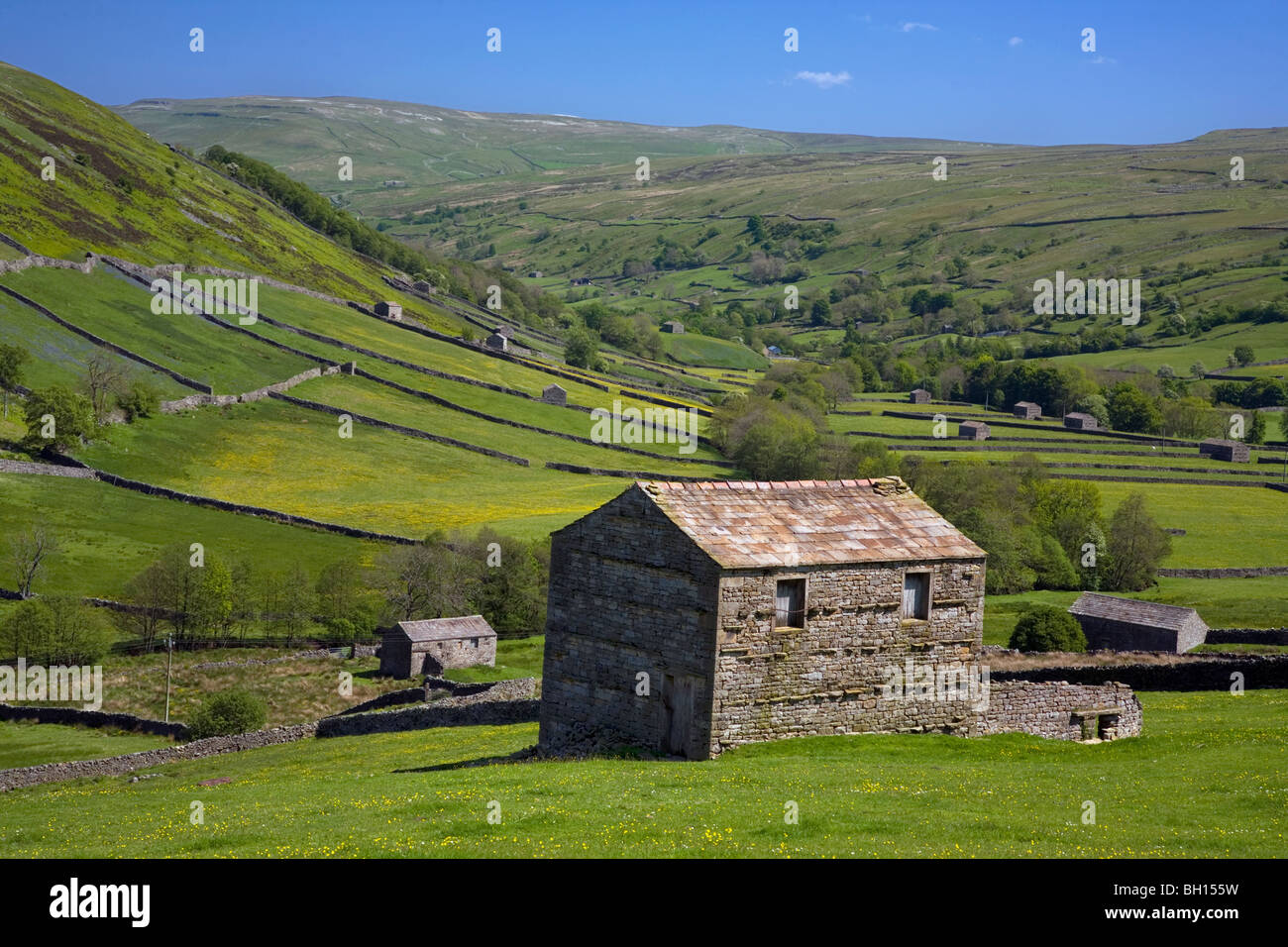 Fienile vicino Thwailte, Swaledale, Yorkshire Dales, England, Regno Unito Foto Stock