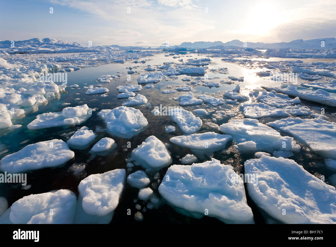 Tiniteqilaq e mare di ghiaccio nel fiordo, E. Groenlandia Foto Stock