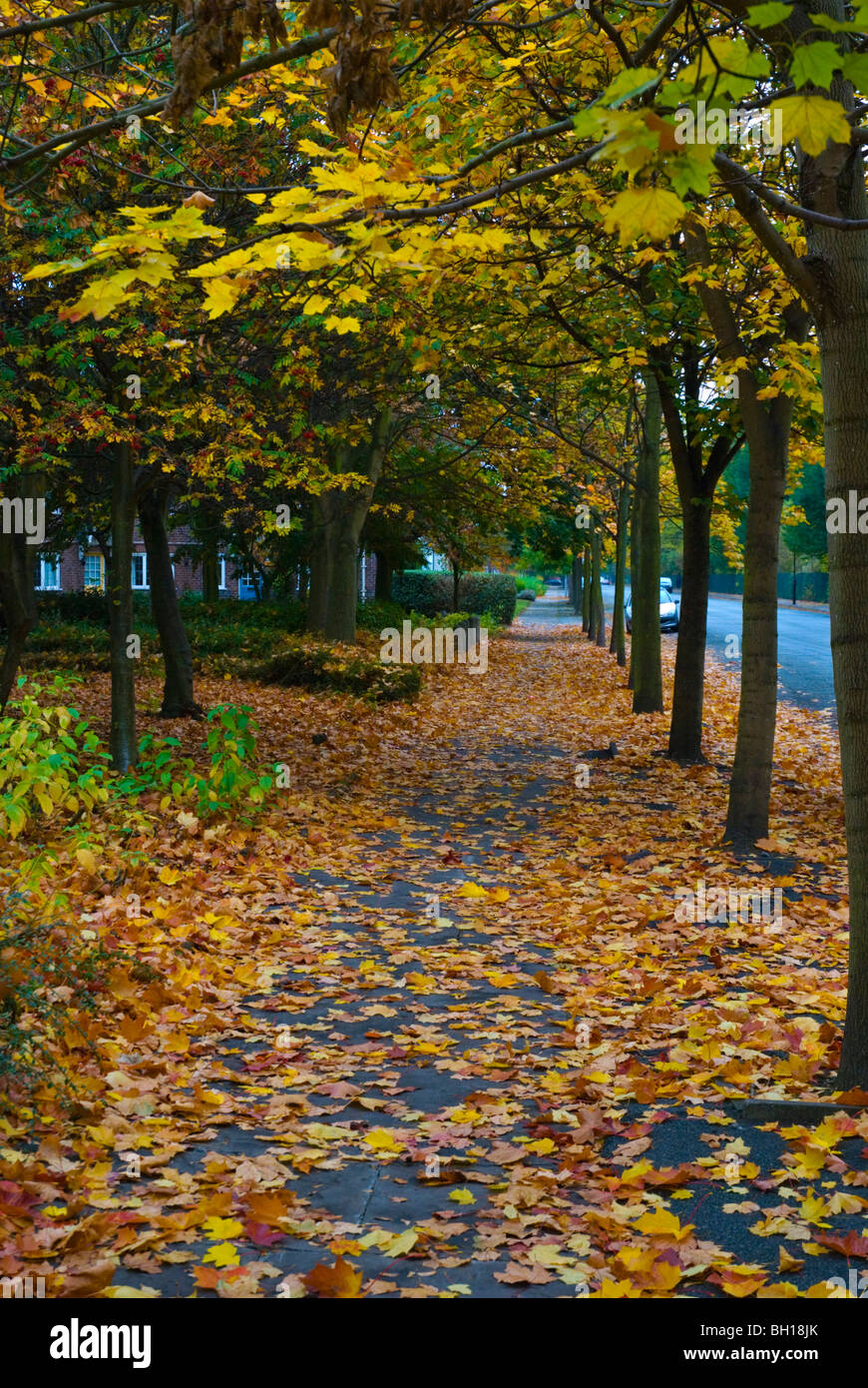 Autunno a Port Sunlight village Merseyside England Regno Unito Europa Foto Stock