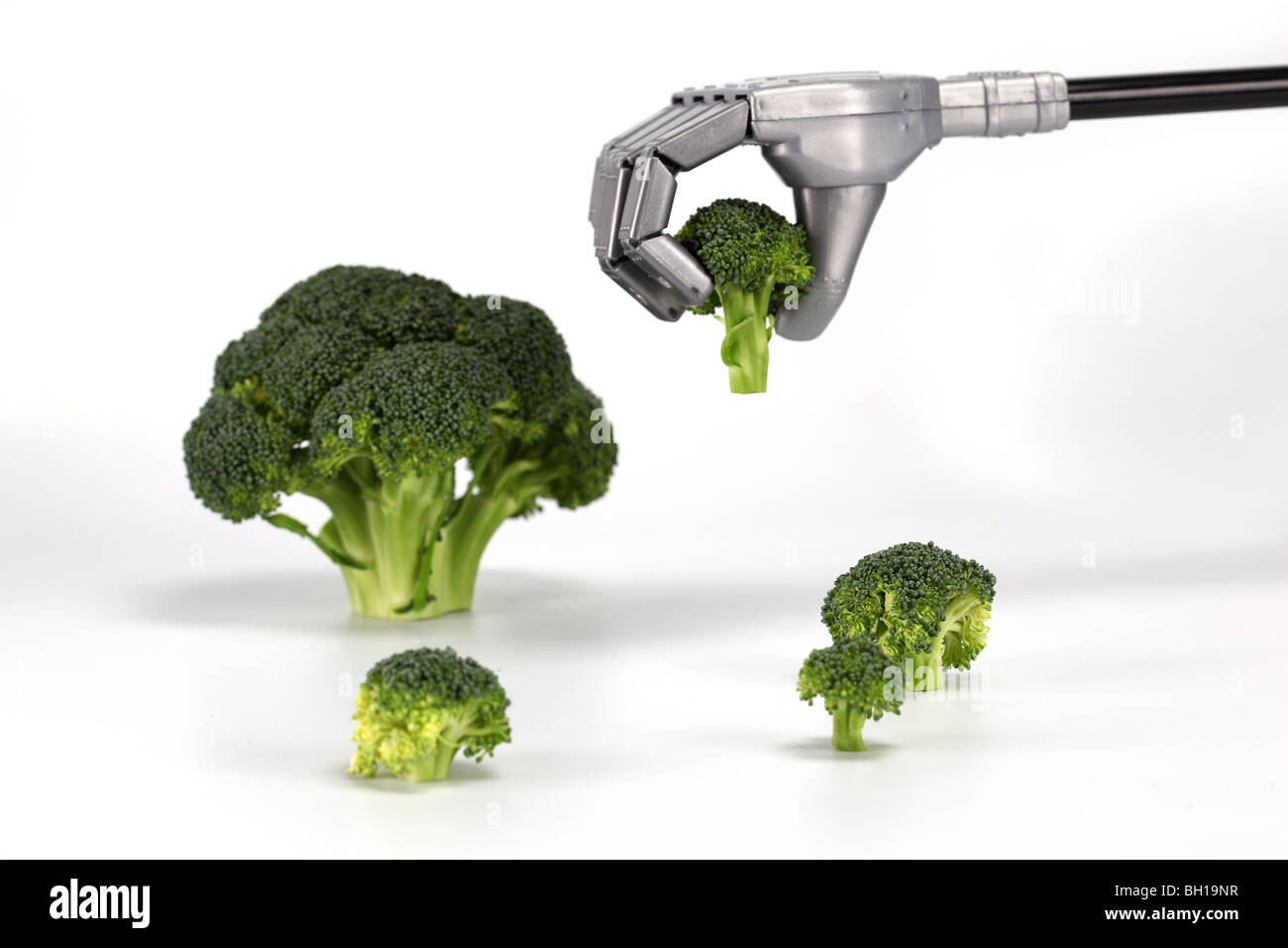 Broccoli Robot grab cibo mano le dita del braccio tenere il dito tenendo delicato con cura attenta industriale la tecnologia della macchina Foto Stock