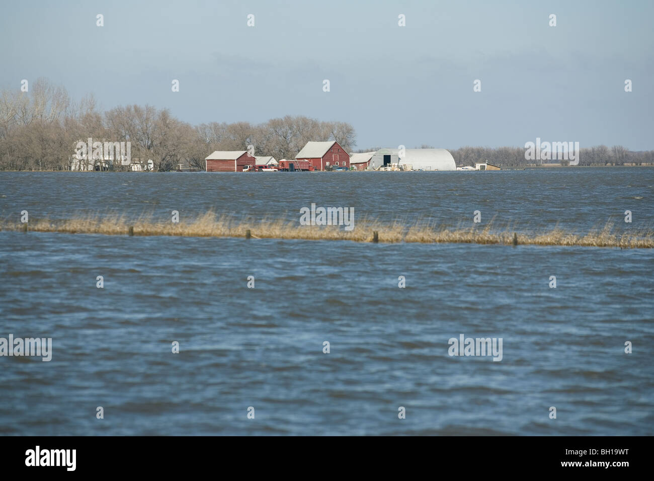 La molla acque alluvionali del fiume Rosso fare un isola di un cortile, Manitoba, Canada Foto Stock
