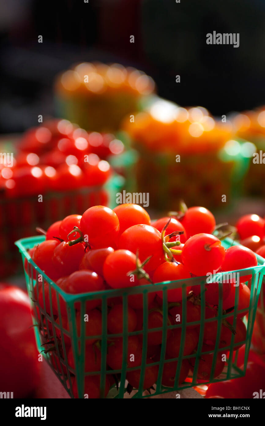 Rosso di pomodori ciliegini Foto Stock