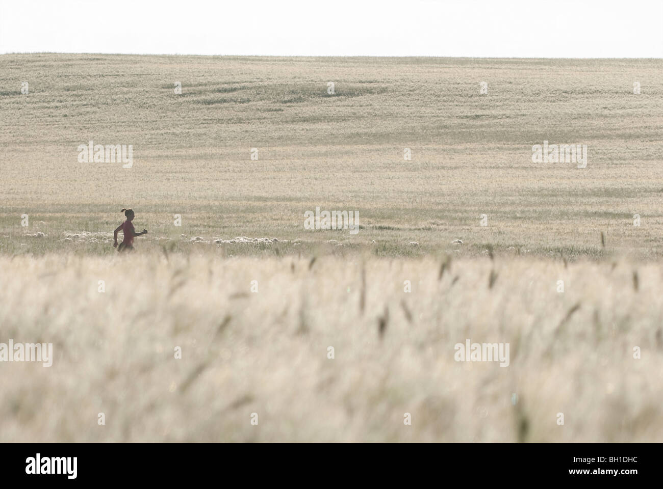 Campi di grano, donna in esecuzione in distanza, Manitoba, Canada Foto Stock