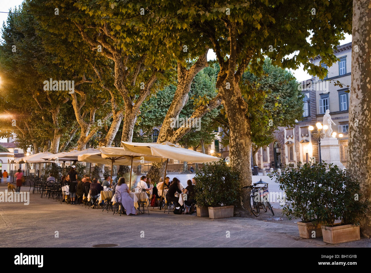 Piazza Napoleone, Lucca, Toscana, Italia Foto Stock