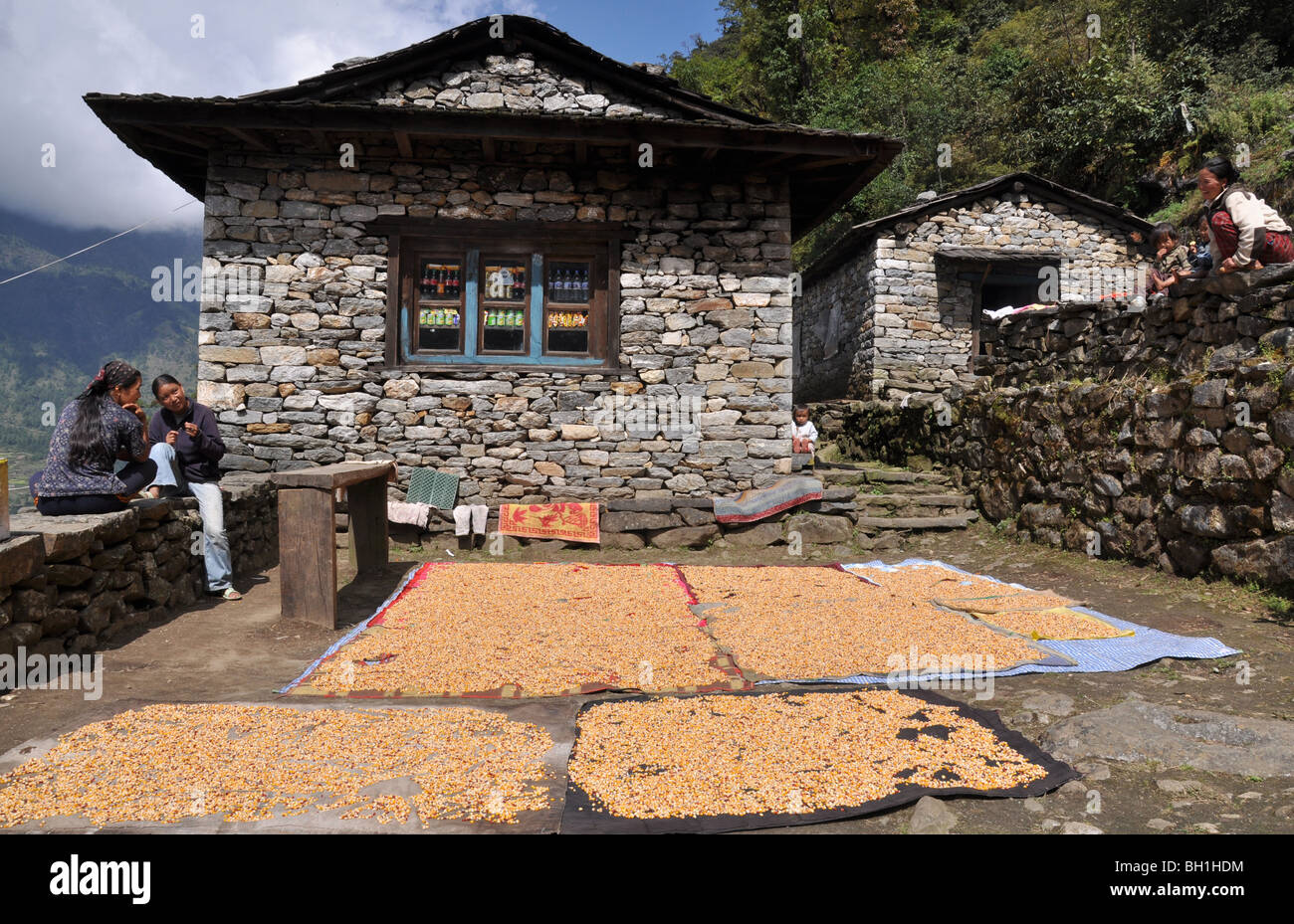 Nepalesi per le donne e i bambini a guardare oltre i loro semi di essiccazione Foto Stock