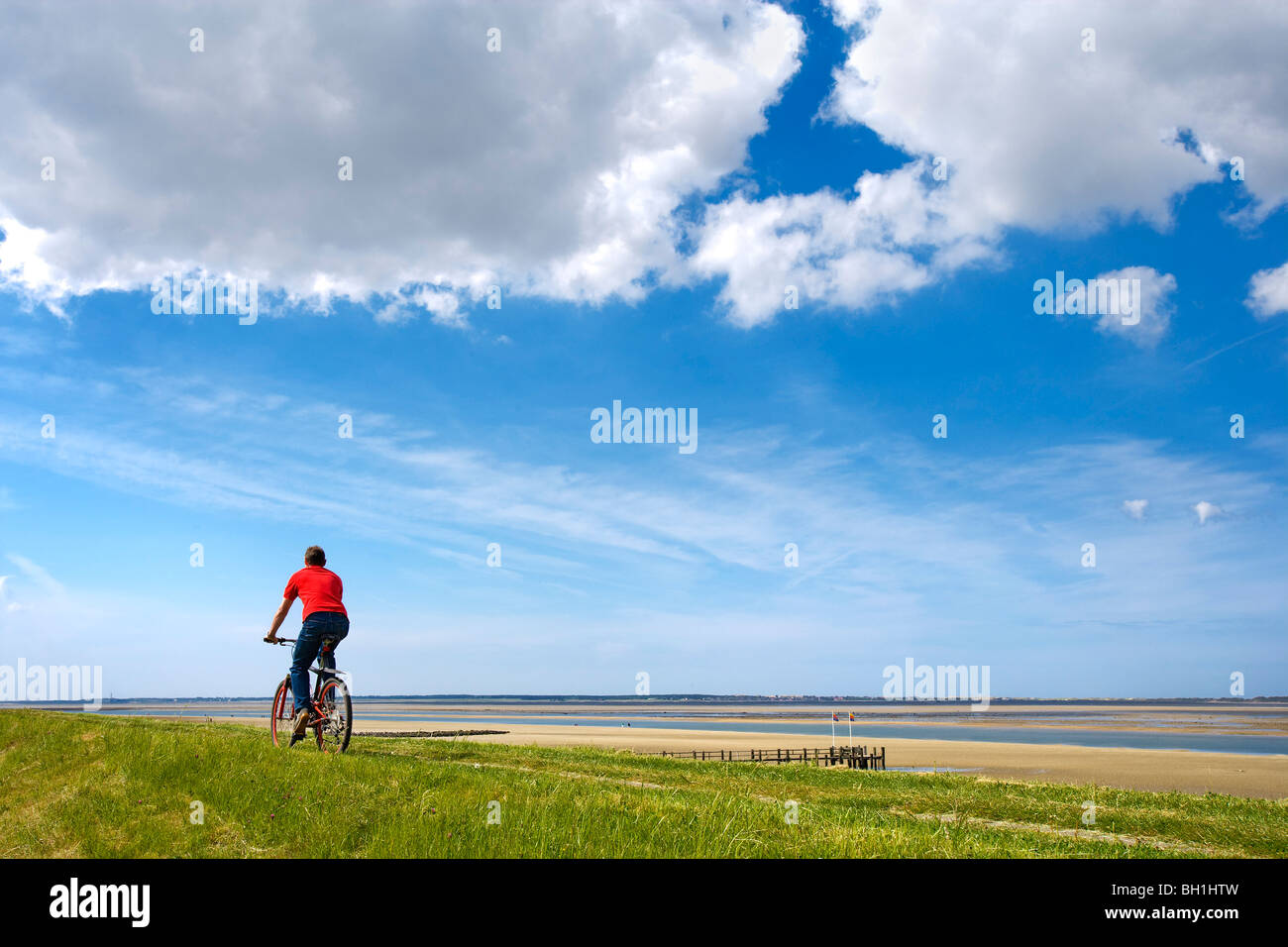 Ciclista su una diga, Foehr Isola del nord Isole Frisone, Schleswig-Holstein, Germania Foto Stock