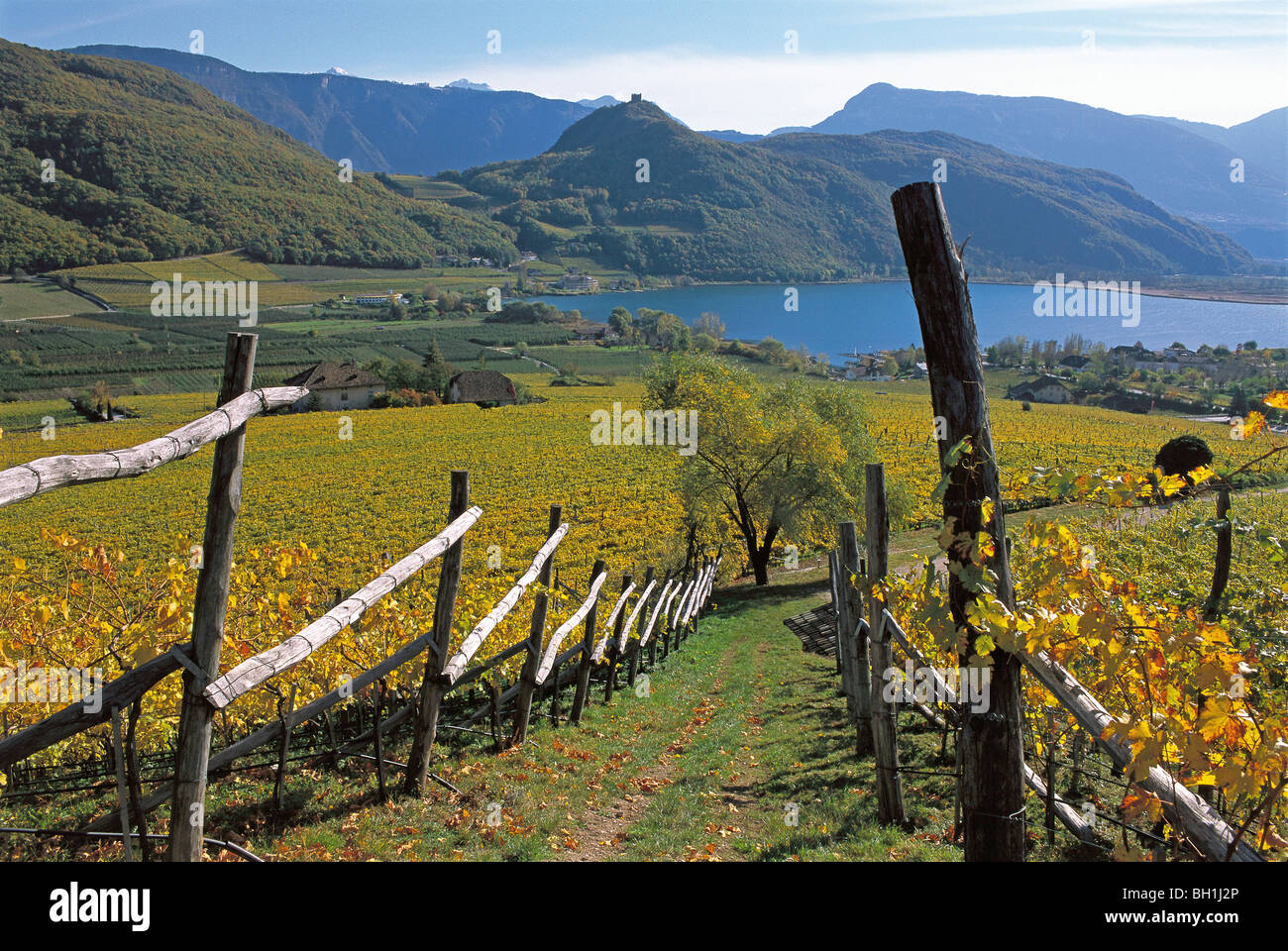 Paesaggio autunnale, Lago di Caldaro con vigneti, Kaltern an der Weinstrasse, Alto Adige, Italia Foto Stock