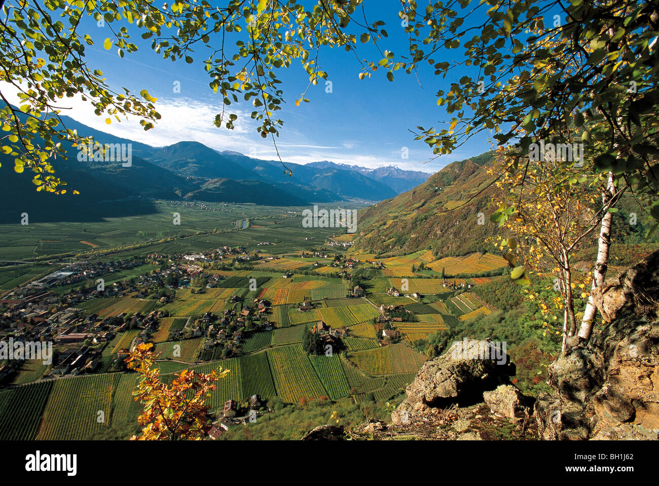 Paesaggio autunnale, vista sulla valle dell'Adige, zona viticola, Terlano, Alto Adige, Italia Foto Stock