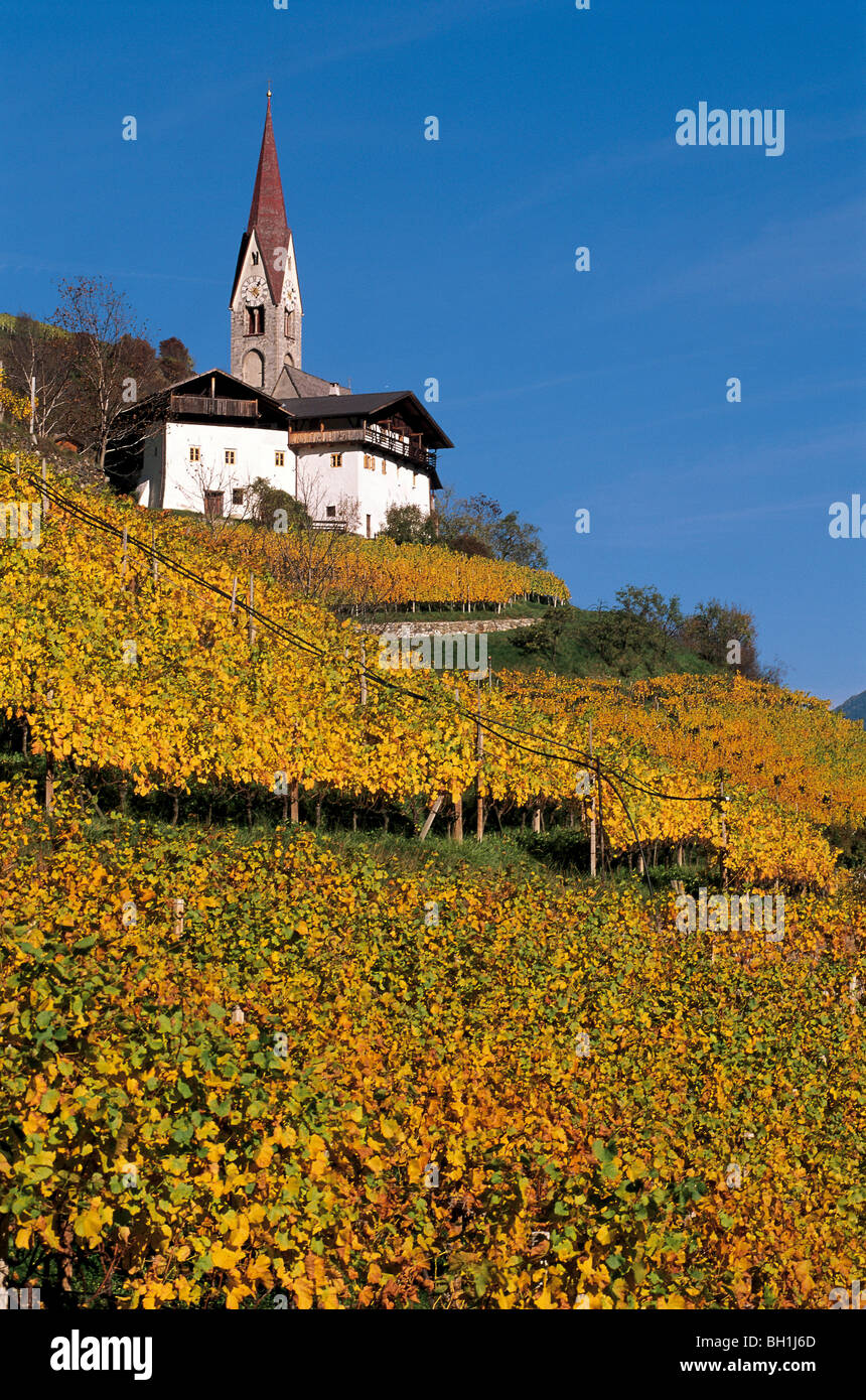 Vigneti con casa colonica e chiesa, Snodres, Valle Isarco, Alto Adige, Italia Foto Stock