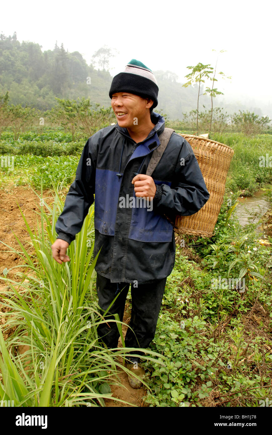 Hilltribe lavorando nel campo di riso, lao cai , NorthVietnam. Foto Stock