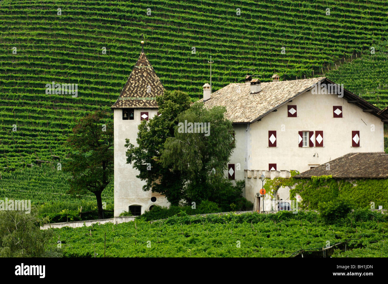 Cantina con vigneti, Strehlburg, Kurtatsch an der Weinstrasse, Alto Adige, Italia Foto Stock