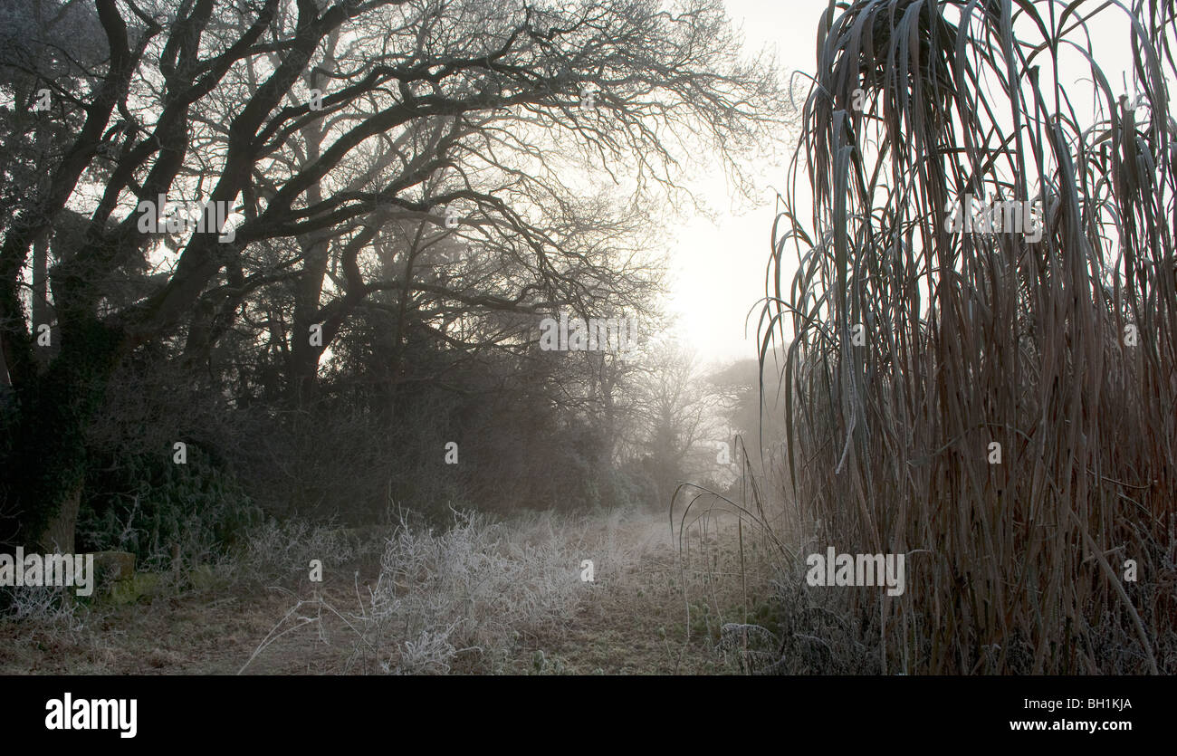 Frosty via attraverso il campo Foto Stock