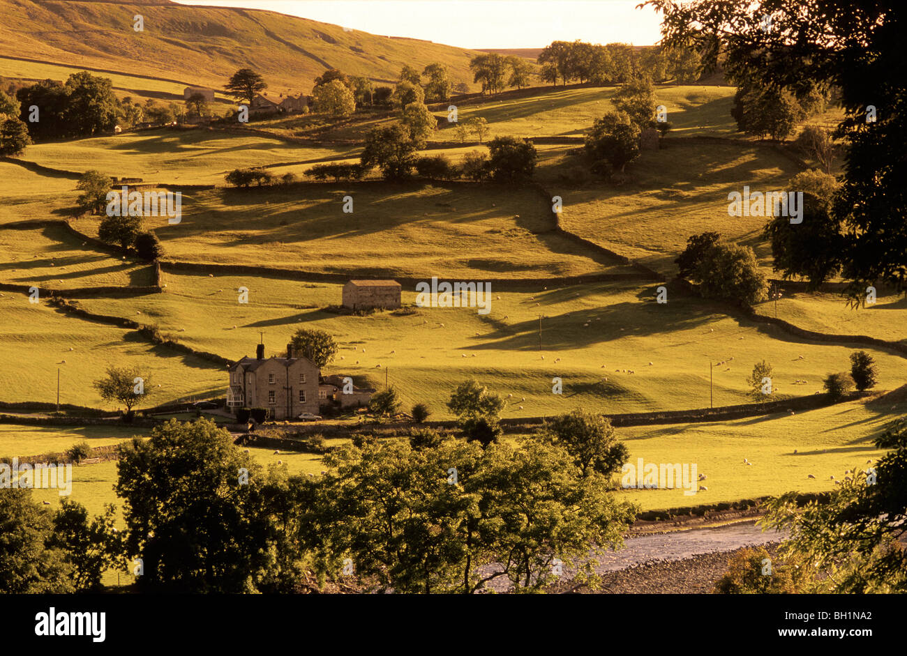 L'Europa, Inghilterra, Yorkshire, North Yorkshire, Yorkshiredales Foto Stock