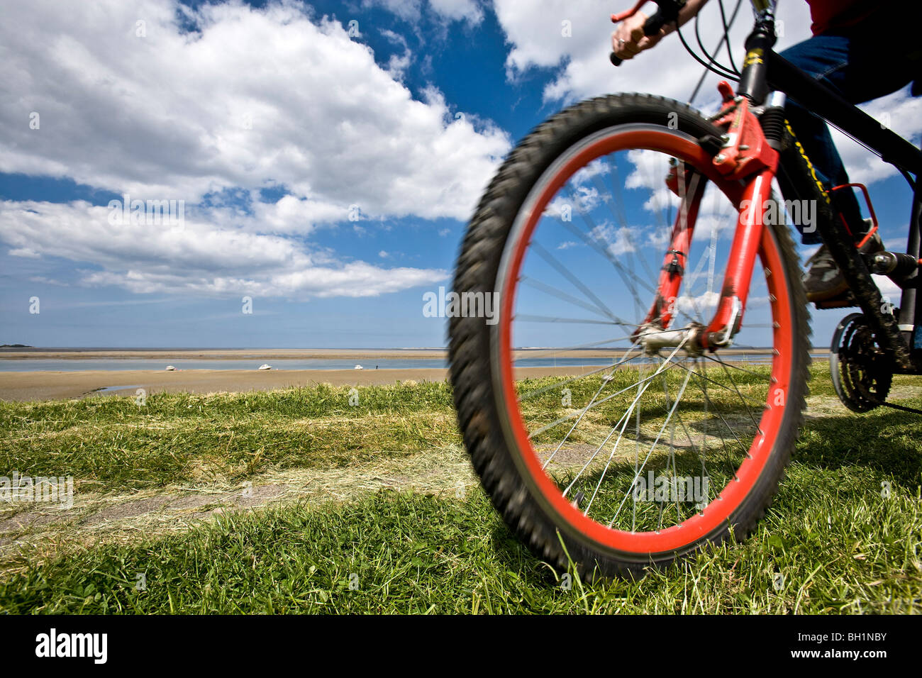 Ciclista sulla diga, Foehr Isola del nord Isole Frisone, Schleswig-Holstein, Germania Foto Stock