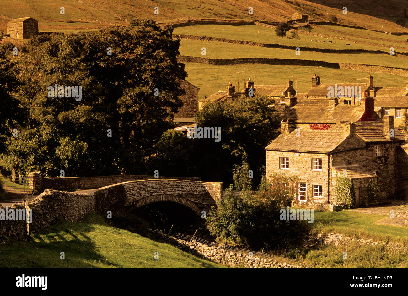 L'Europa, Inghilterra, Yorkshire, North Yorkshire, Yorkshiredales, Swaledale, Thwaite Foto Stock