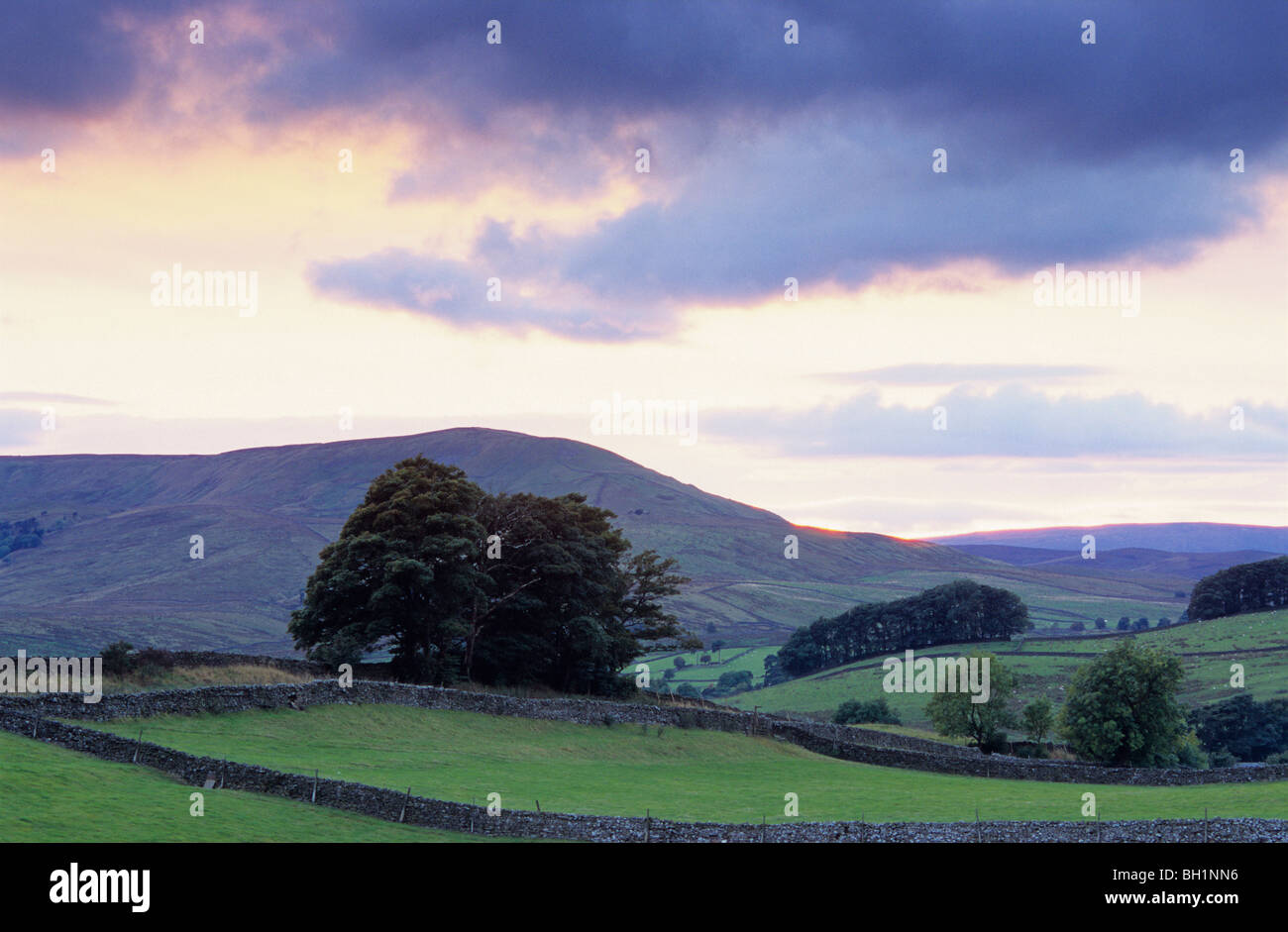 L'Europa, Inghilterra, Yorkshire, North Yorkshire, vicino Hawes Foto Stock