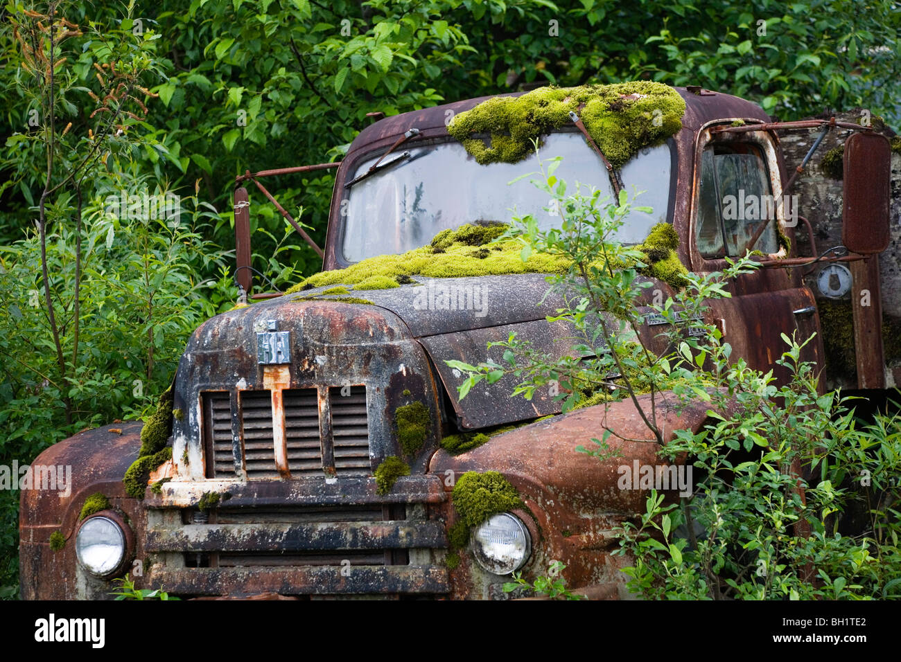 Mossed auto rottamata, vicino a Pietroburgo, Alaska, STATI UNITI D'AMERICA Foto Stock