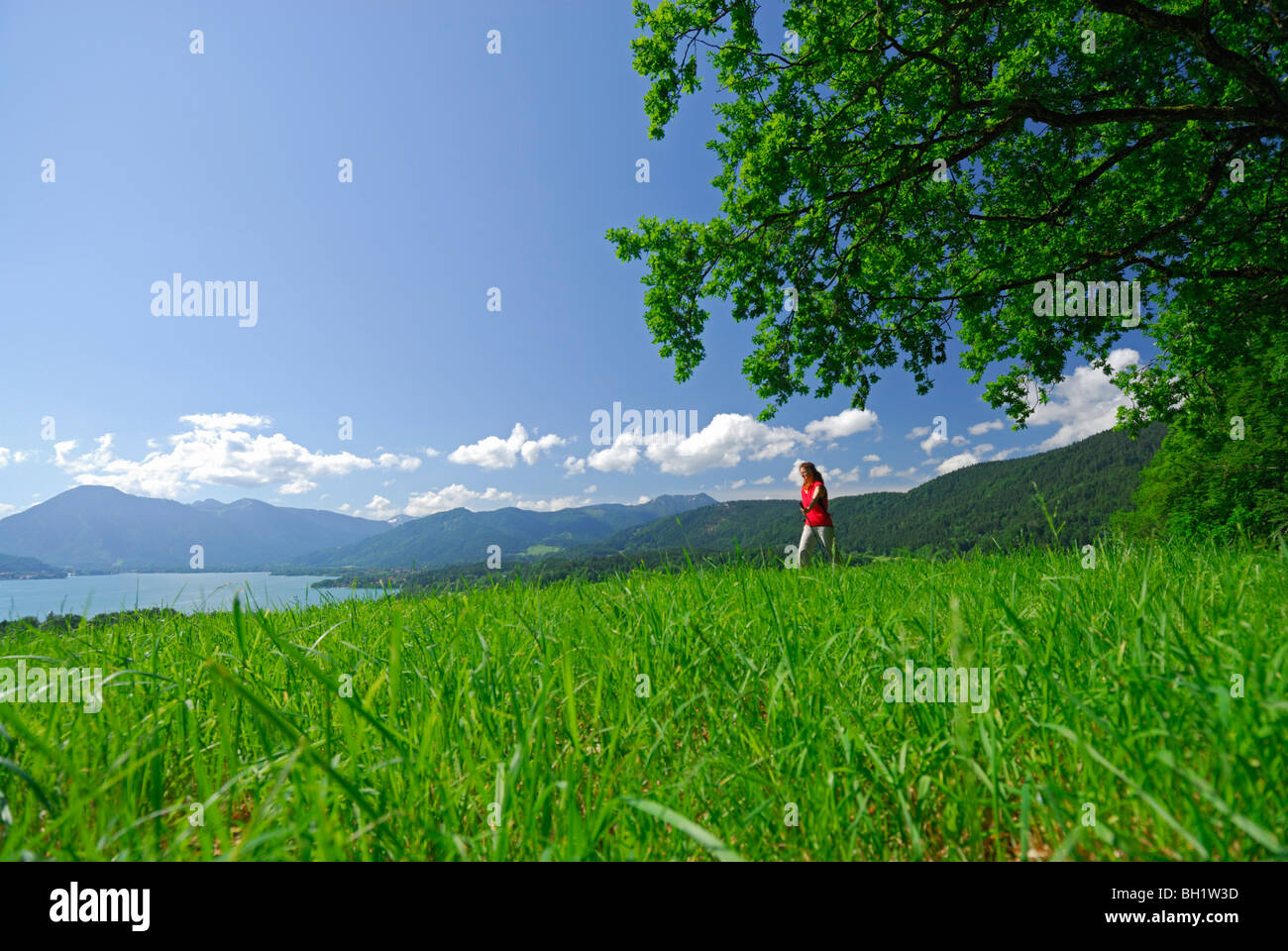 Giovane donna camminando sul pascolo con vista del lago Tegernsee, prealpi bavaresi, gamma bavarese, Alta Baviera, Baviera, Germania Foto Stock