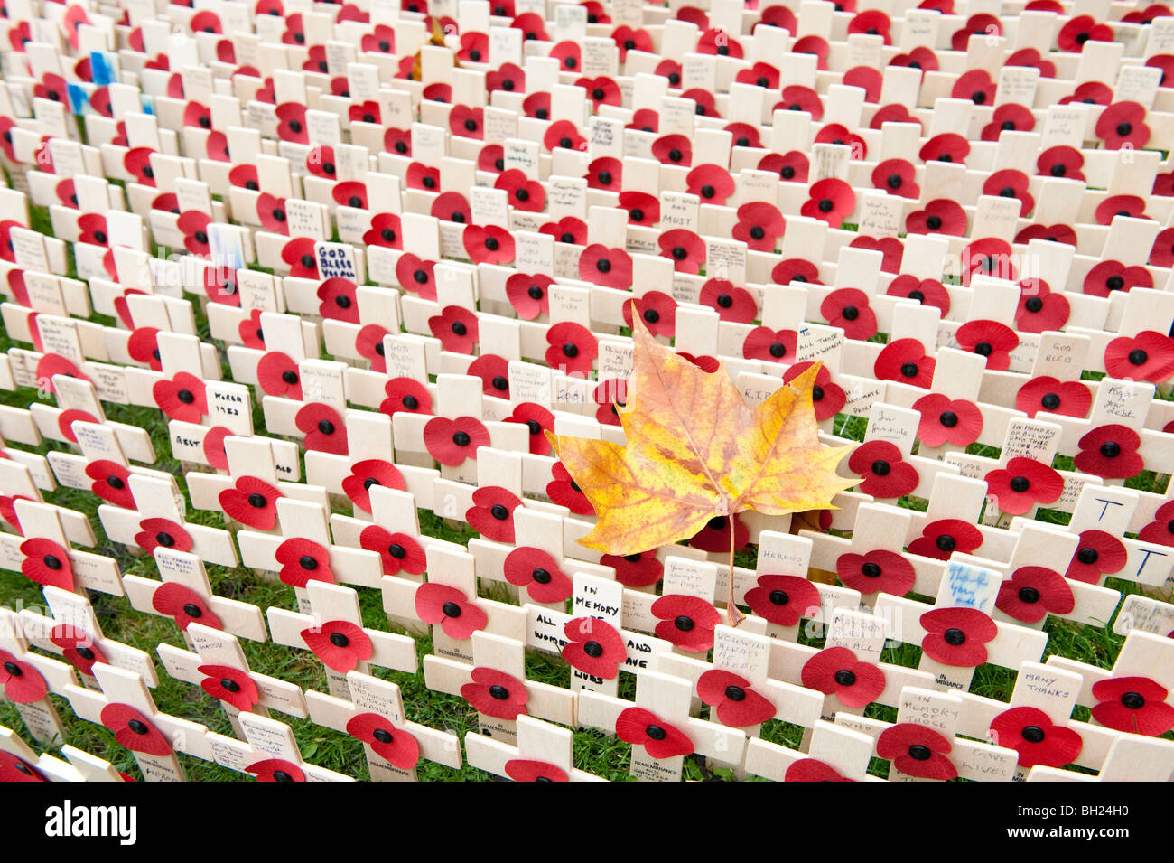 Un autumn leaf circondato da piccole croci e papaveri sul campo del ricordo presso l'Abbazia di Westminster, Londra Foto Stock