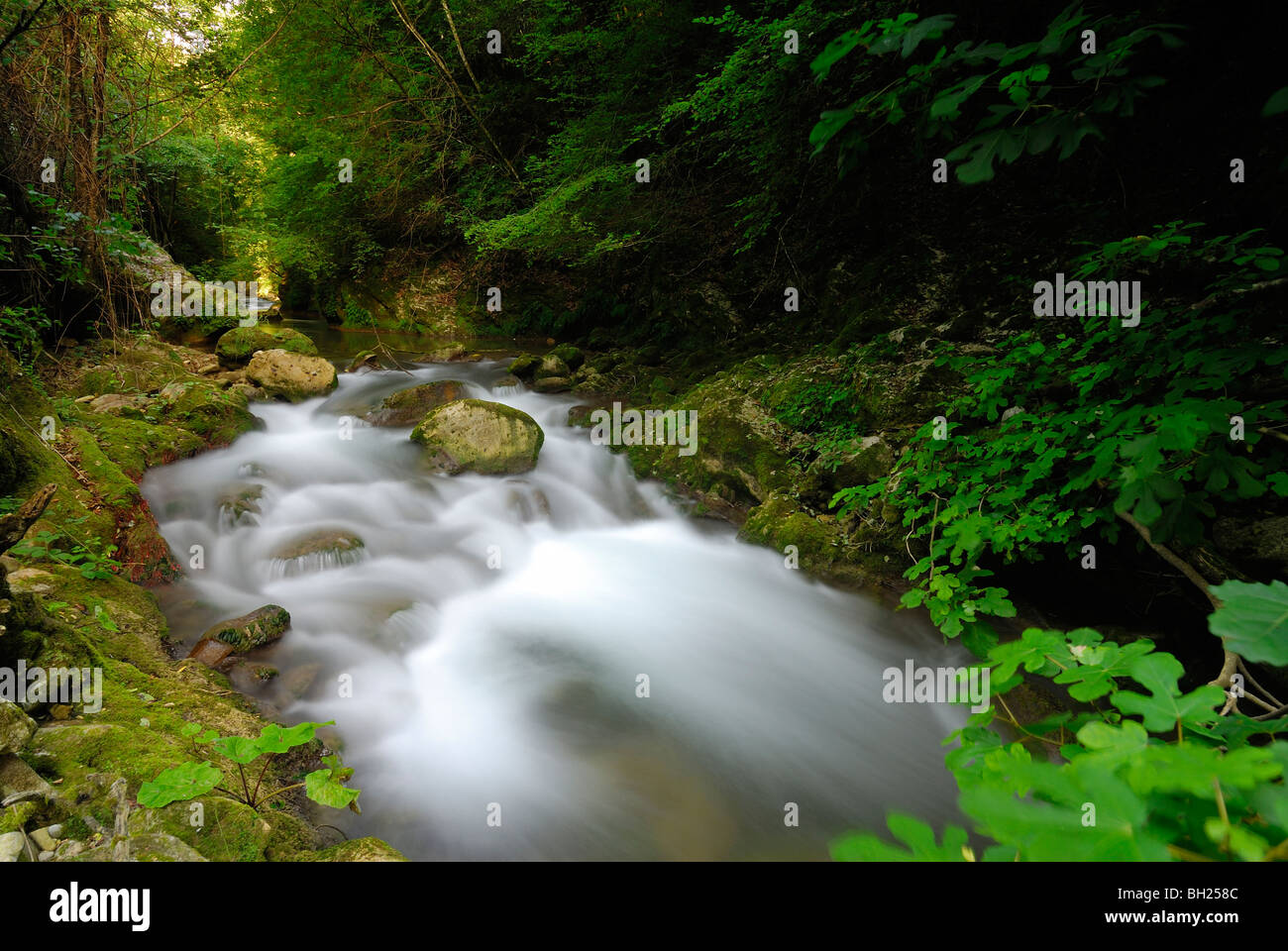 Il fiume Farfa, Farfa Canyon, Mompeo, Rieti, Italia Foto Stock