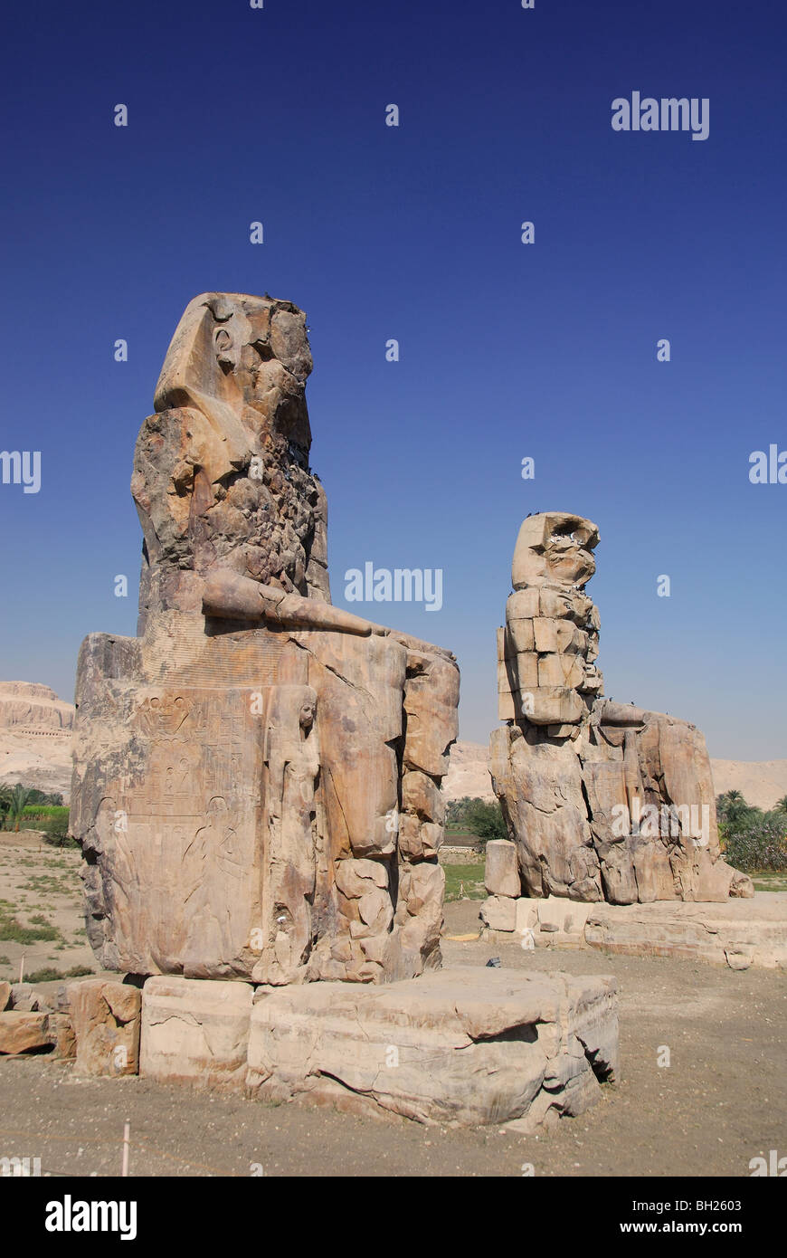 LUXOR, Egitto. Una vista di i Colossi di Memnon sulla sponda ovest del Nilo. 2009. Foto Stock