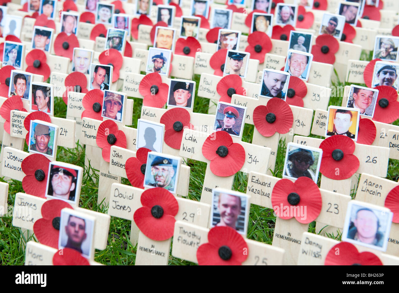 Croci di legno con papaveri foto di guerra britannici morti in Iraq e Afghanistan nel campo della Rimembranza Westminster Abbey Foto Stock