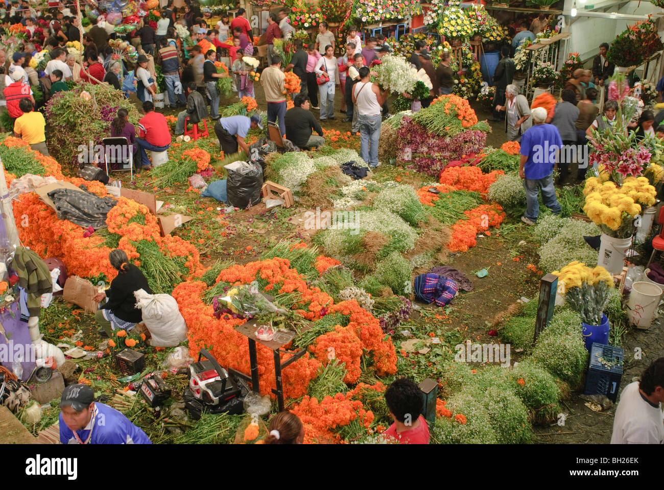 La Giamaica il mercato pubblico è il principale commerciale di punto di distribuzione per fiori per il Giorno dei Morti di feste. Foto Stock