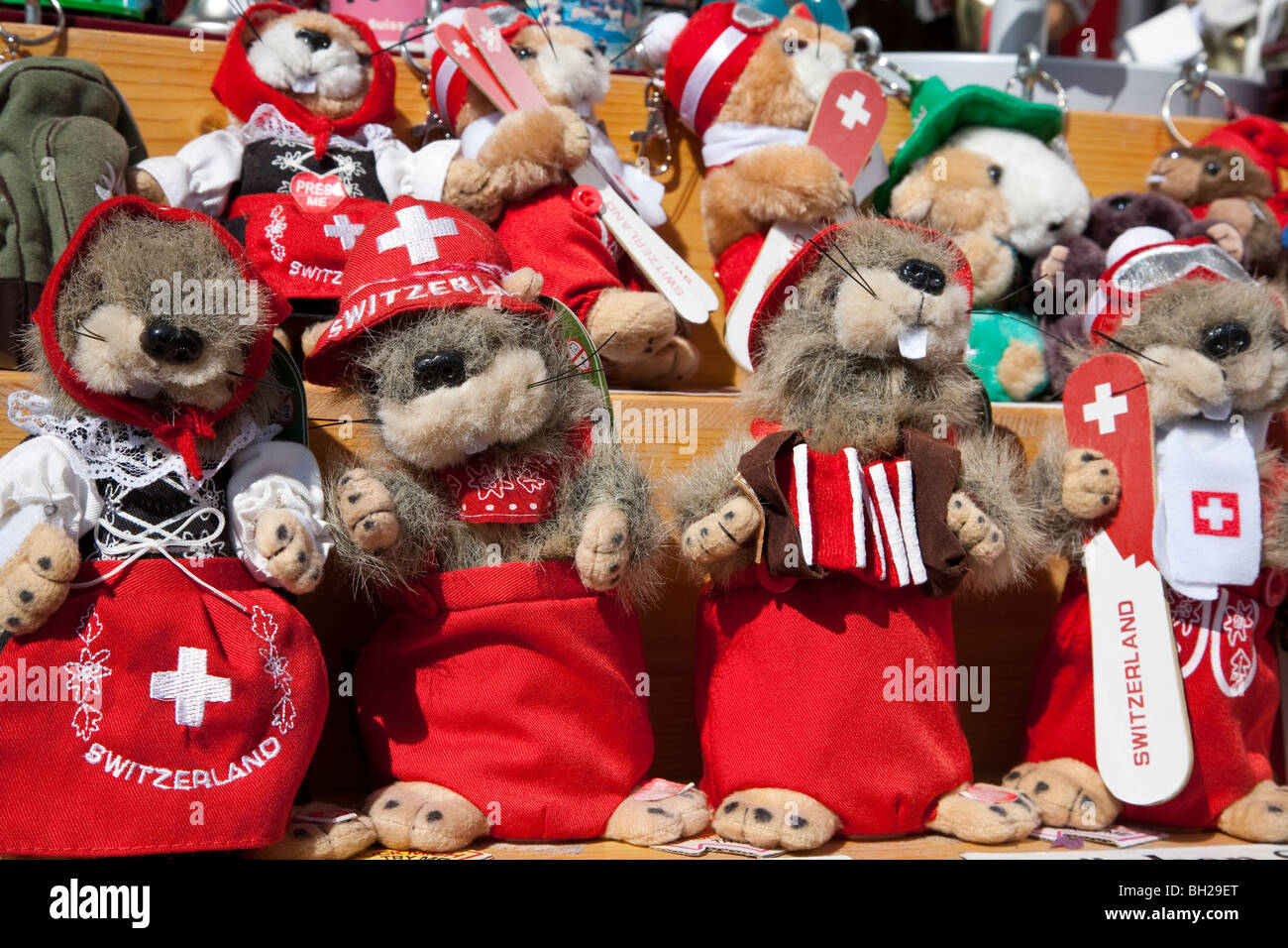 Marmotte, animali imbalsamati, costume come svizzeri, Davos, Grigioni, Svizzera Foto Stock