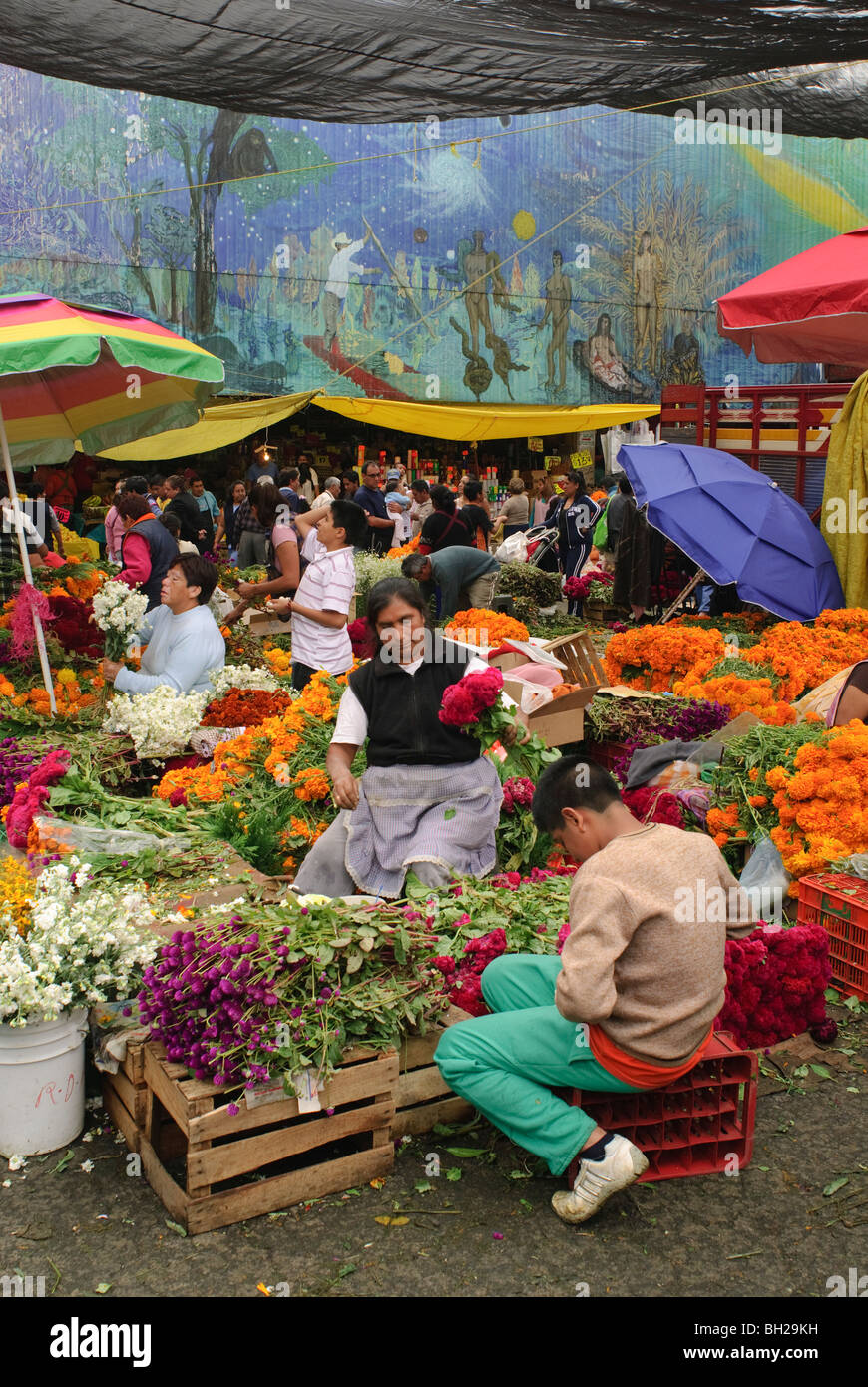 La Giamaica il mercato pubblico è il principale commerciale di punto di distribuzione per fiori per il Giorno dei Morti di feste. Foto Stock