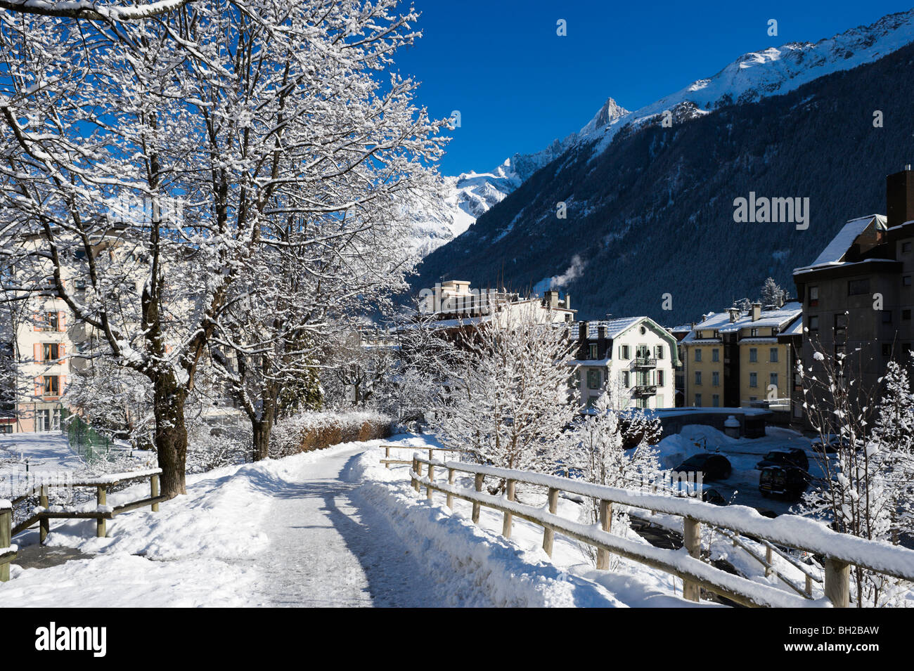Coperta di neve alberi su un sentiero vicino al centro della città, Chamonix Mont Blanc, Haute Savoie, Francia Foto Stock