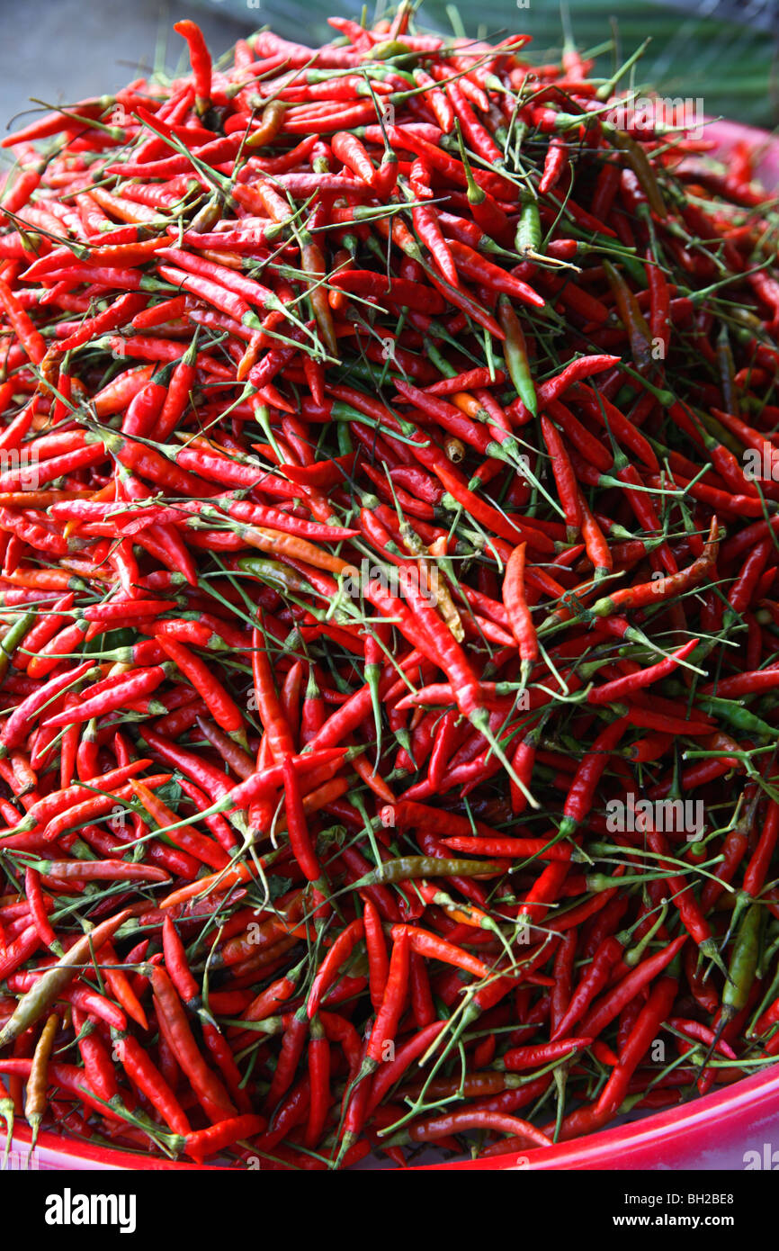 Peperoncino rosso secco Foto Stock