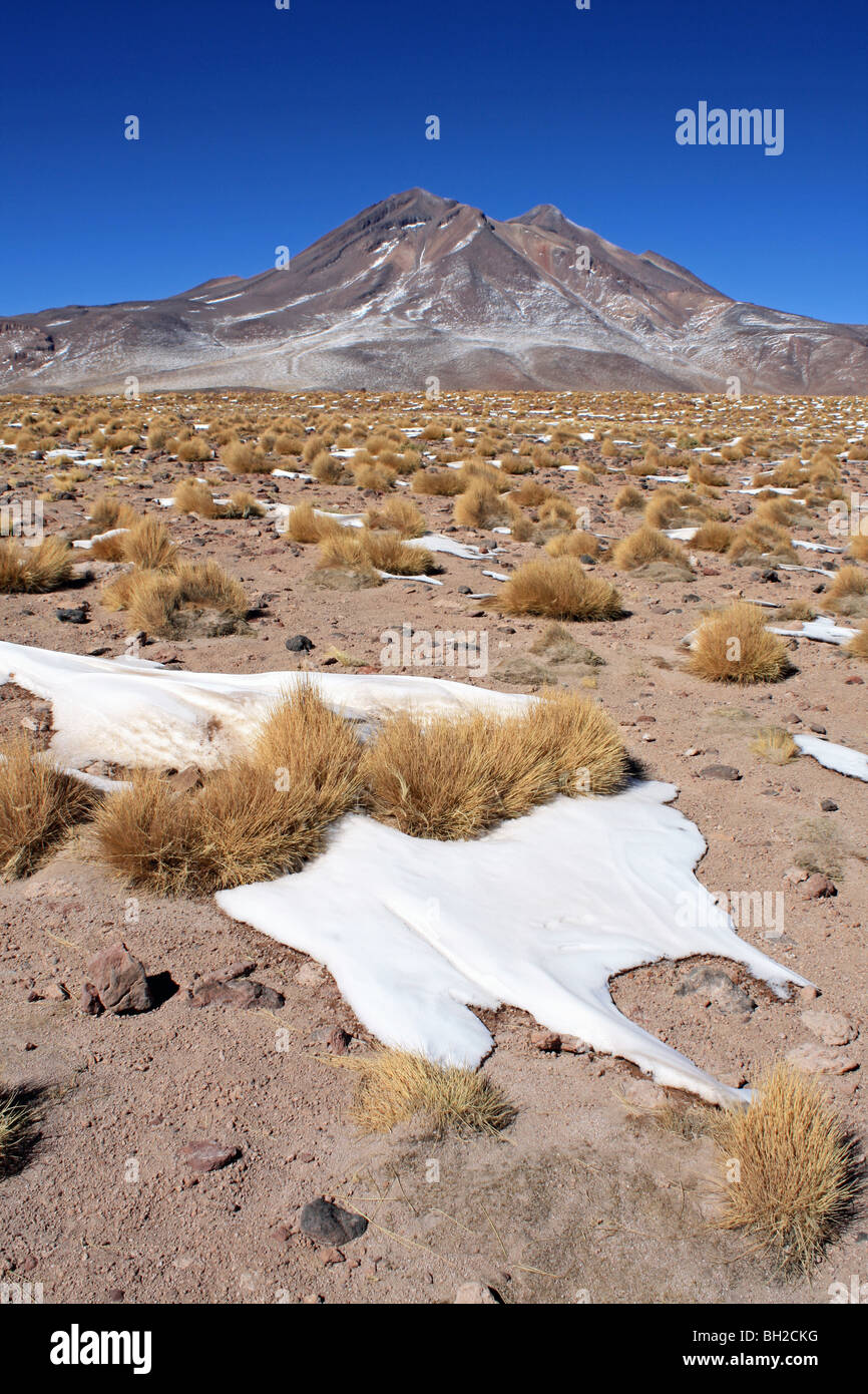 Neve sul cileno altiplano Foto Stock