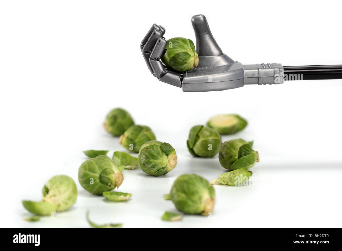 I CAVOLI DI BRUXELLES Robot grab cibo mano le dita del braccio tenere il dito tenendo delicato con cura attenta industria macchina industriale Foto Stock