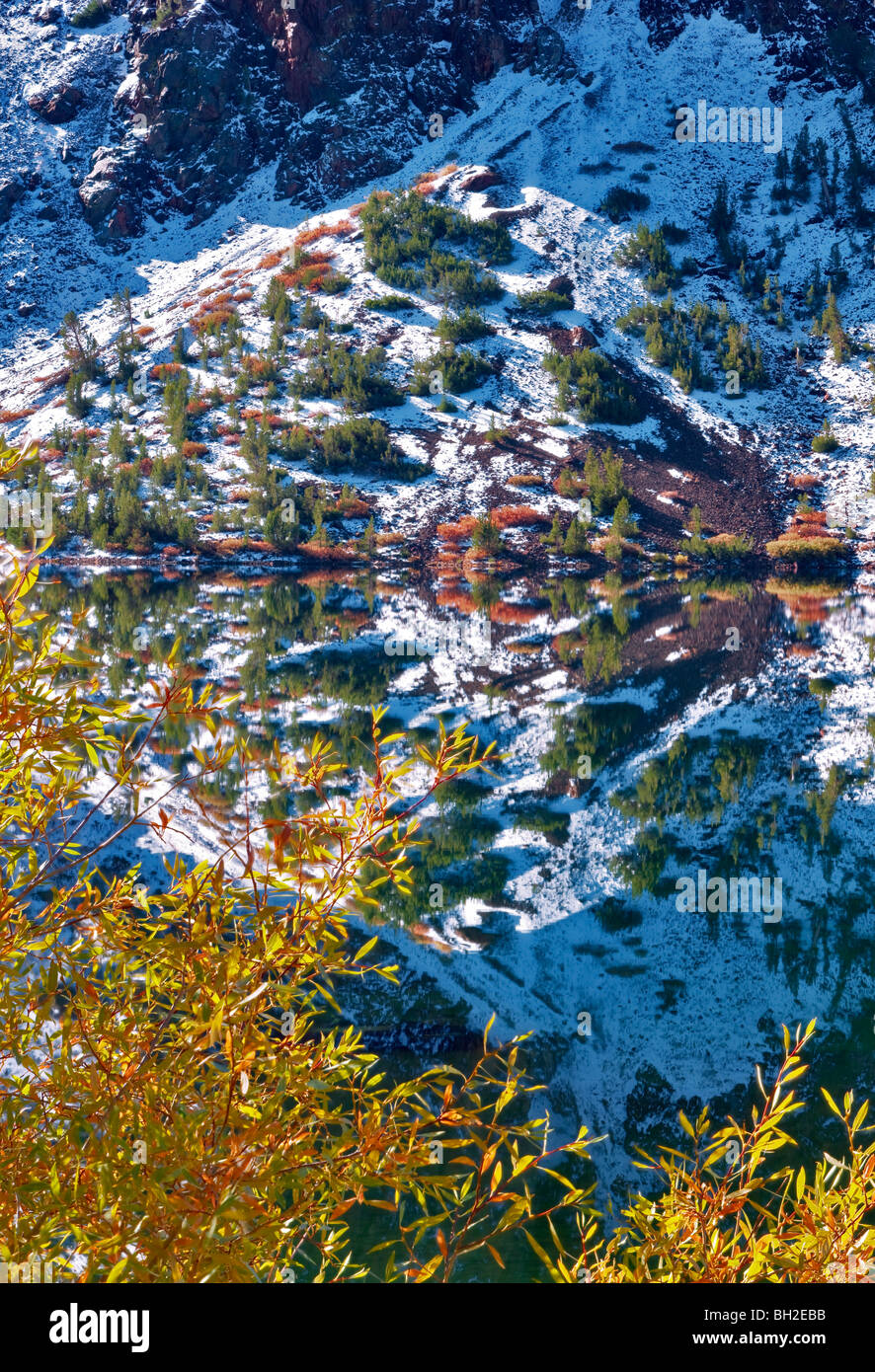 Ellery Lago con caduta salici colorate e di riflessione dopo la nevicata. Inyo National Forest, California Foto Stock