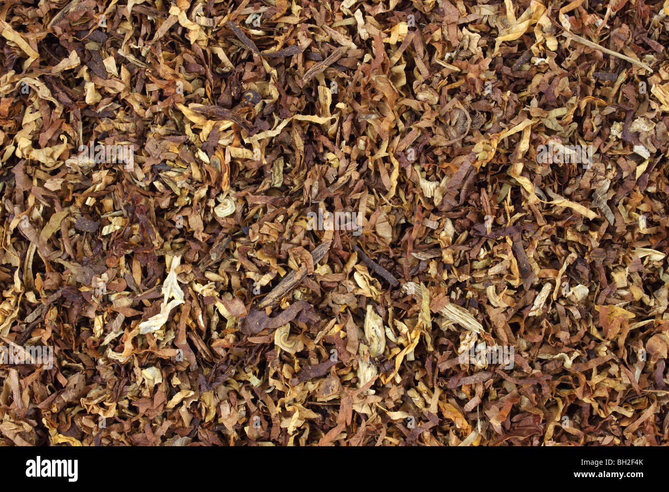 La Pipa :: Cura E Pulizia Della Pipa :: Filtri Per Pipa :: Savinelli - Foto 2