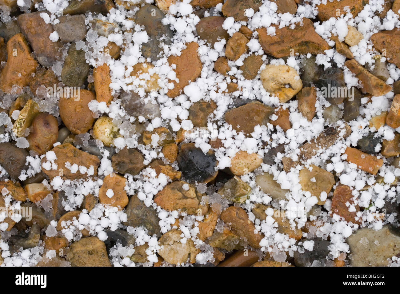 Pietre di grandine sul sentiero di ghiaia. Foto Stock