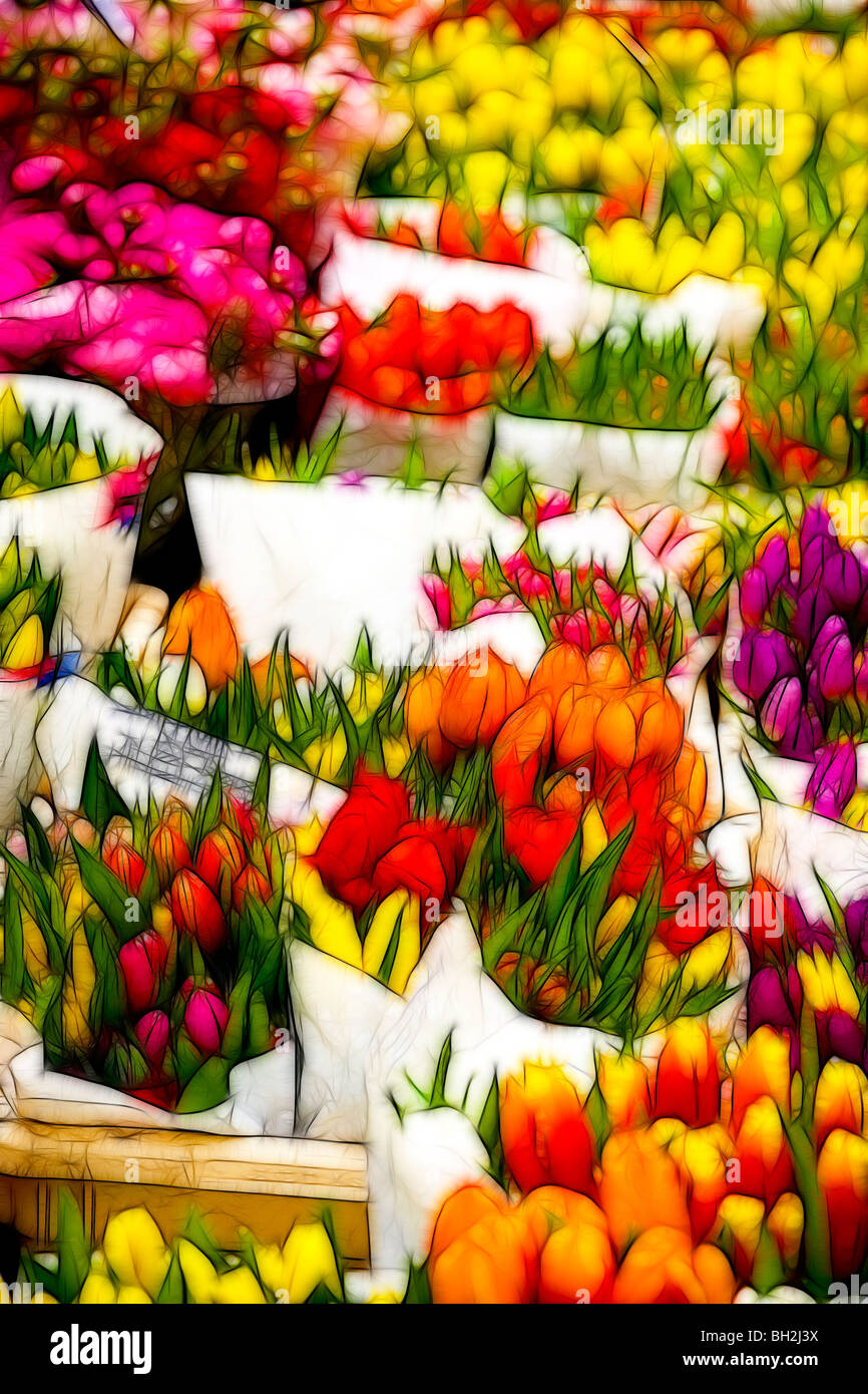 Illustrazione della foto: visualizza di tulipani per la vendita su un mercato in primavera Foto Stock