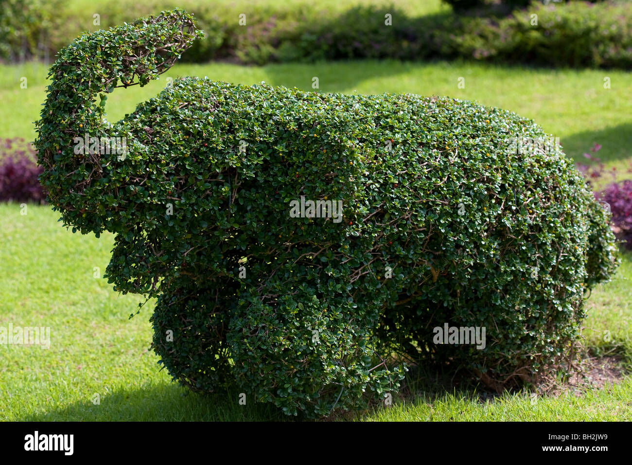 Animali Topairy al Nong Nooch Tropicale Giardino Botanico in Pattaya, Thailandia Foto Stock