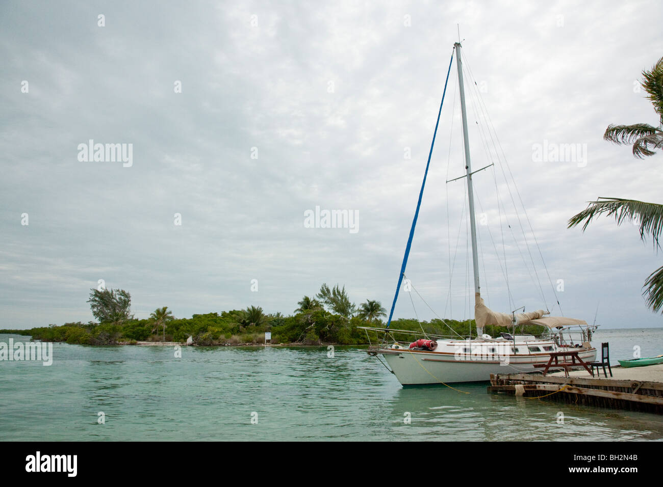 Caye Caulker, Northern Cayes, il Belize. Foto Stock