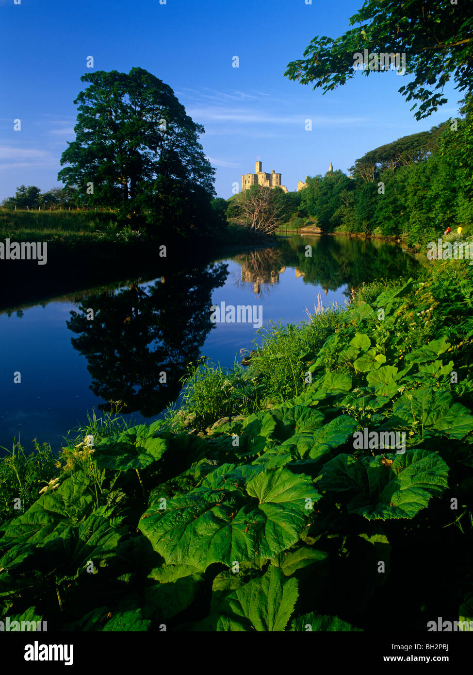 Una tarda estate vista del castello di Warkworth riflessa nel fiume Coquet , Warkworth, Northumberland Foto Stock
