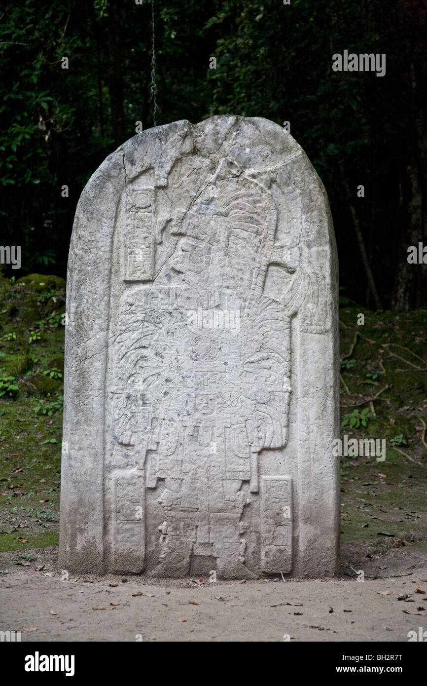 Estela XVI, Stela XVI a Tikal sito archeologico in Guatemala. Foto Stock