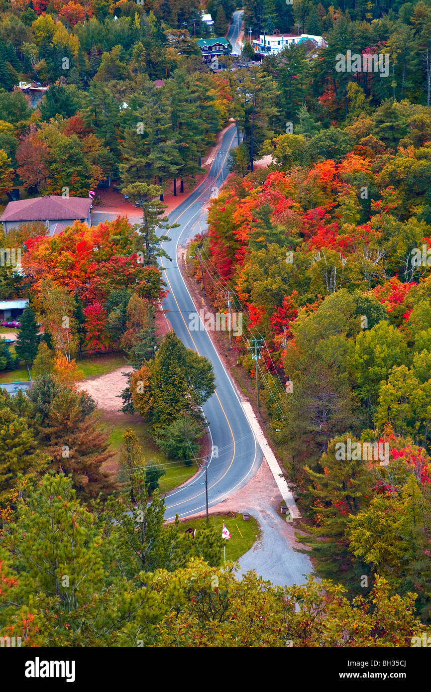 Nord America;Canada;Autunno in Ontario del nord Foto Stock