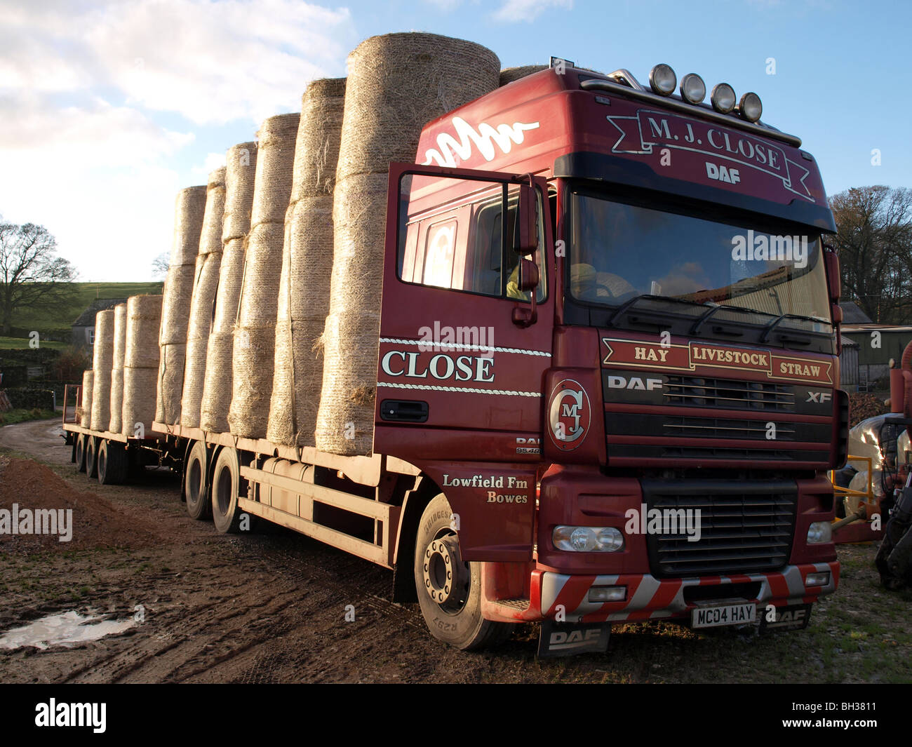 Camion di fieno con sportello aperto a pieno carico con tre livelli di balle di forma circolare e due strati sul rimorchio nel cortile fangoso Foto Stock